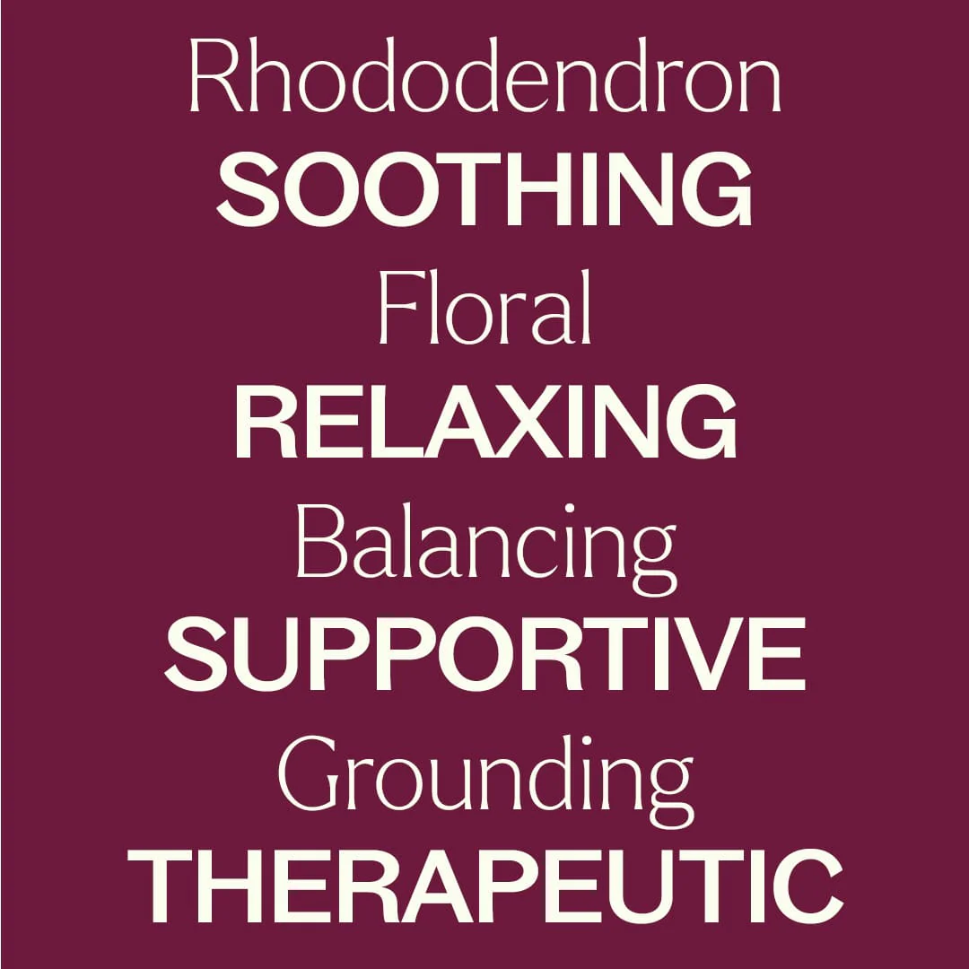 Rhododendron Essential Oil - Image 6