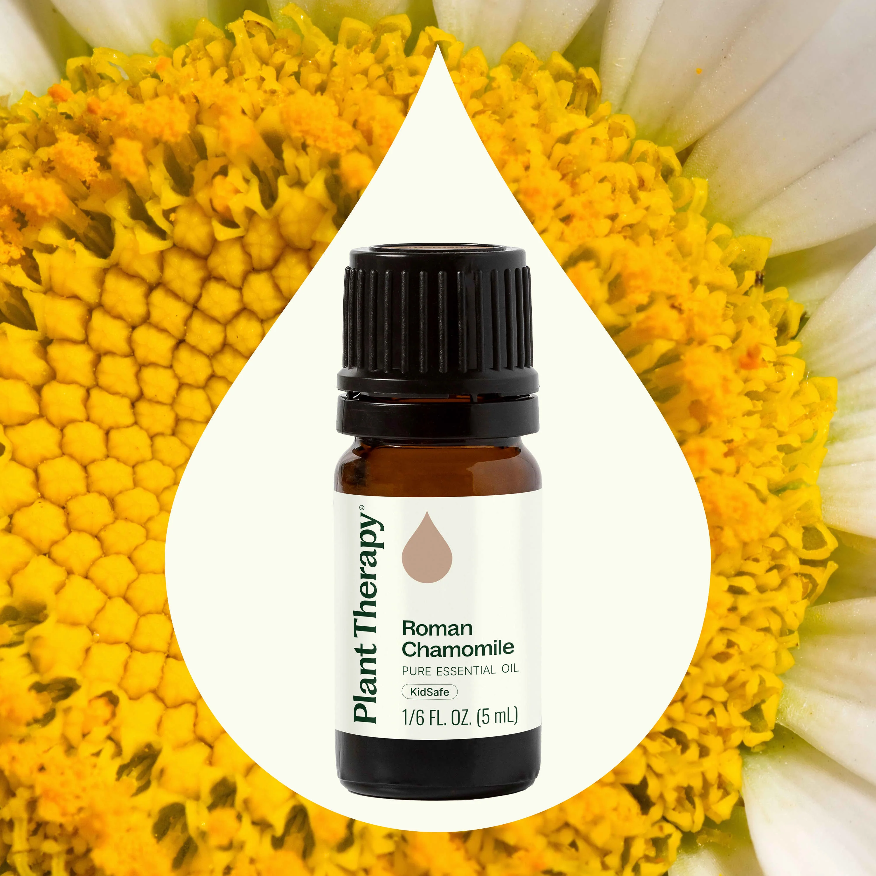 Roman Chamomile Essential Oil - Image 2