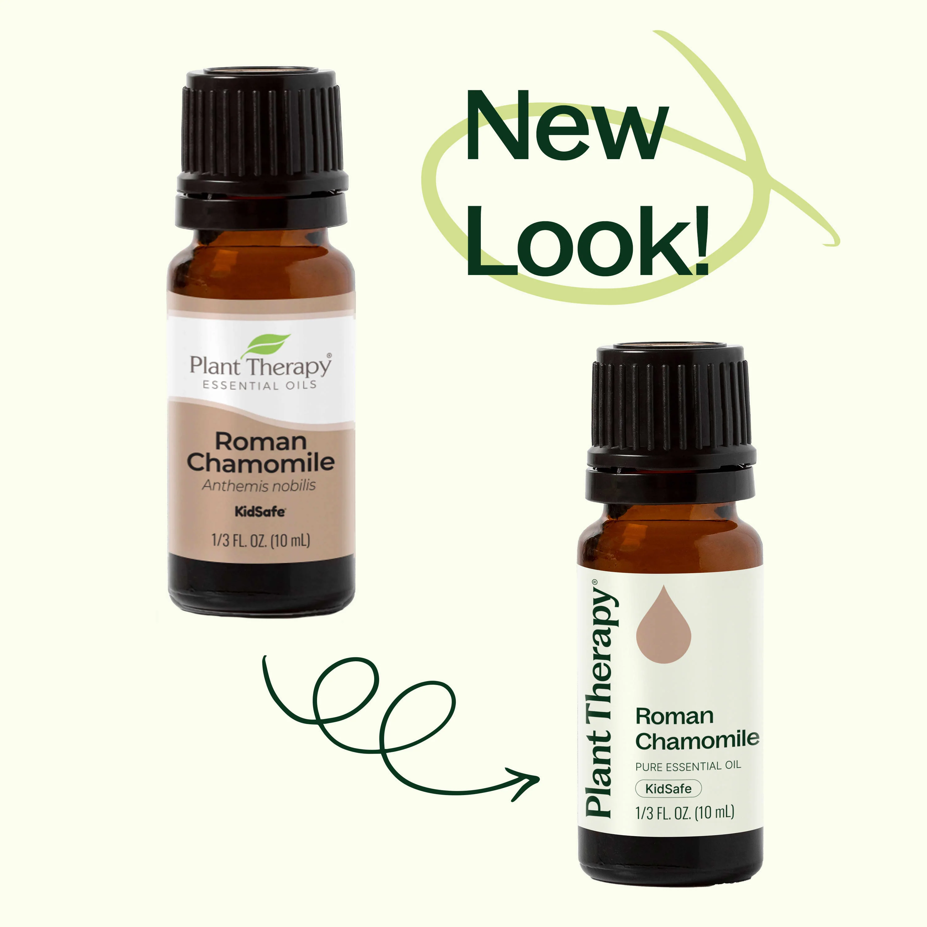 Roman Chamomile Essential Oil - Image 3
