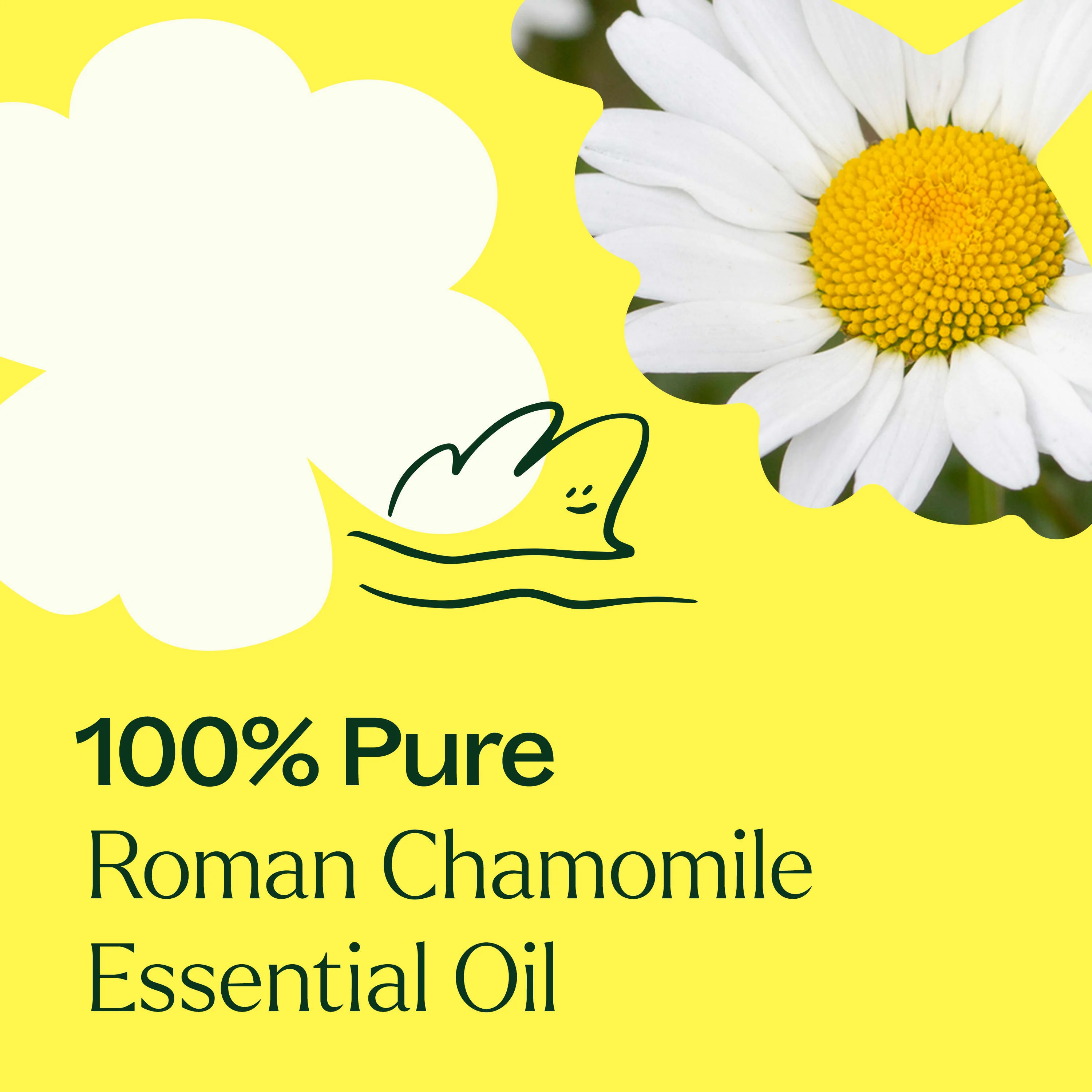 Roman Chamomile Essential Oil - Image 5