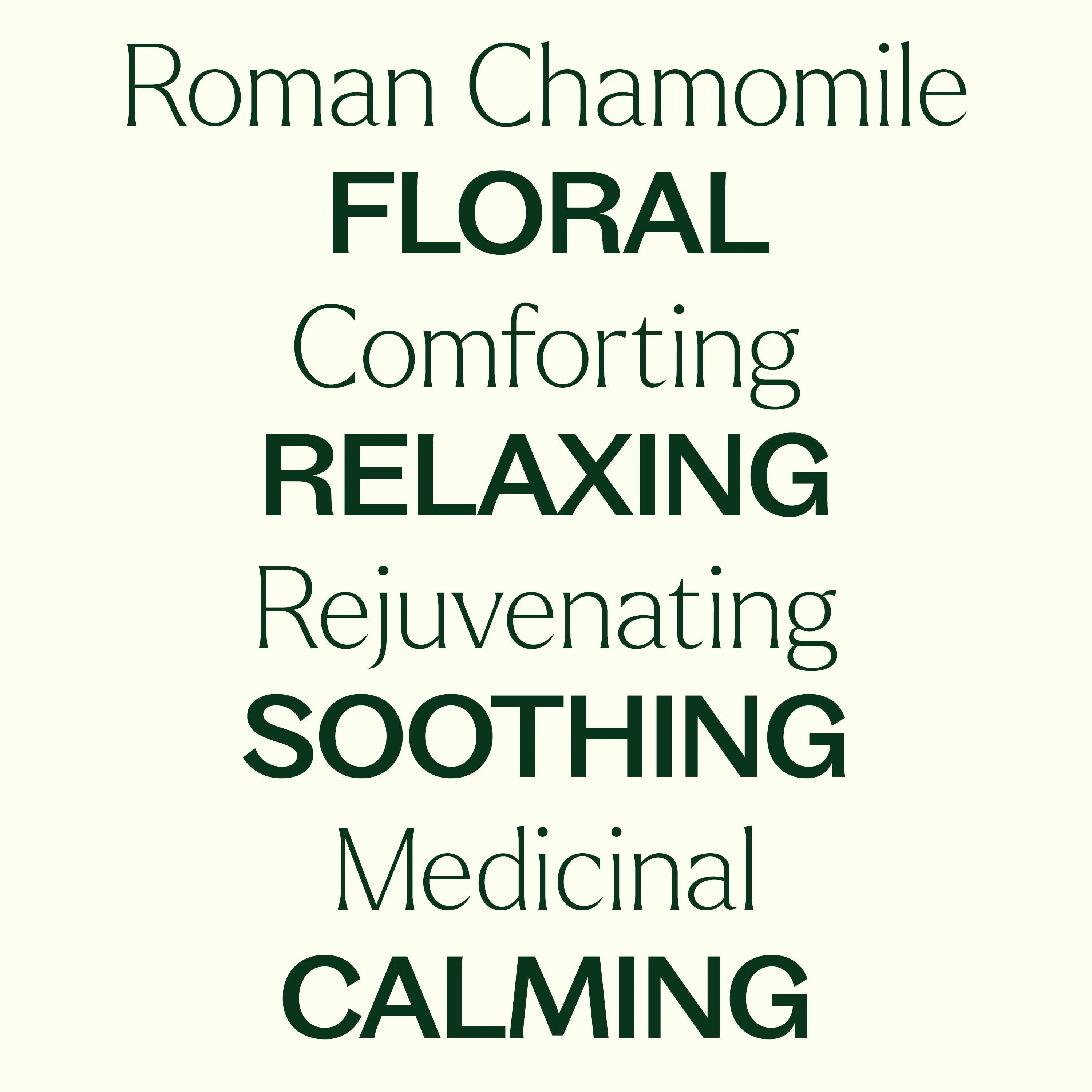 Roman Chamomile Essential Oil - Image 6