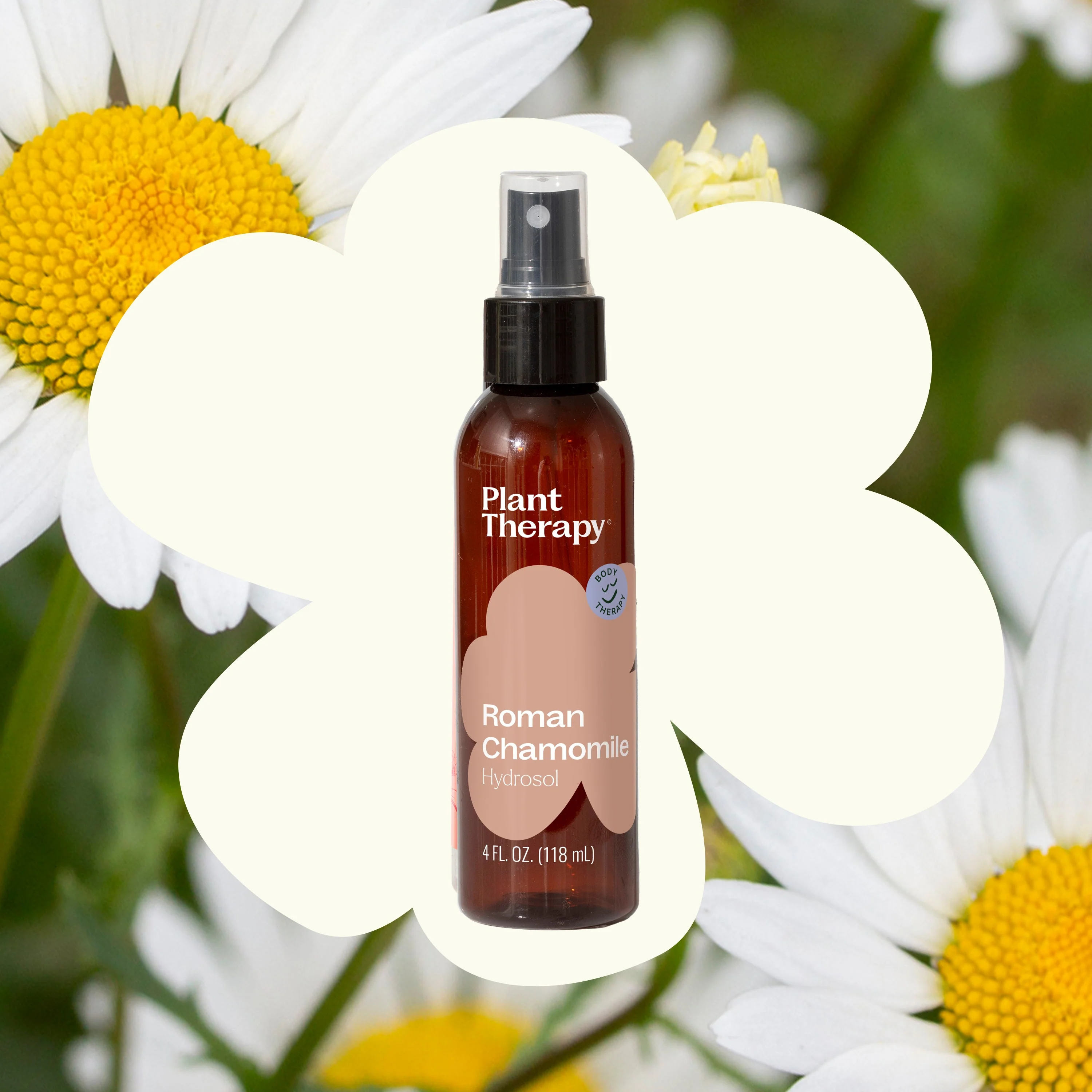 Roman Chamomile Hydrosol - Image 2