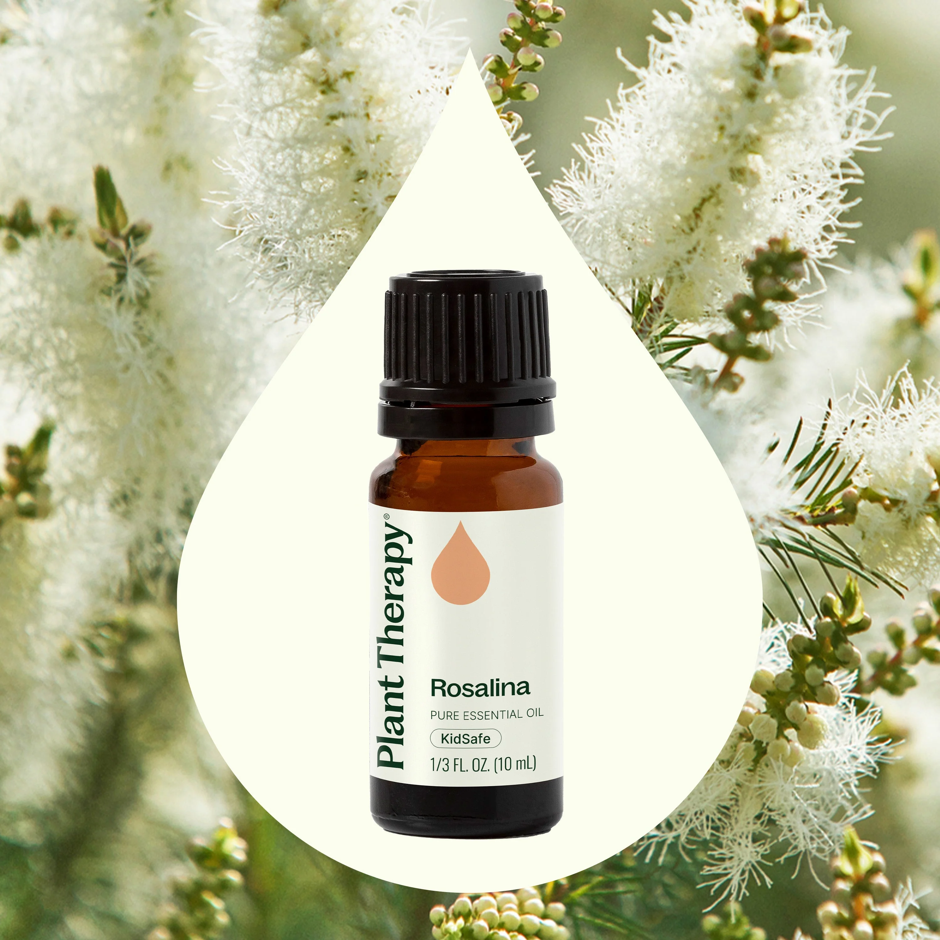 Rosalina Essential Oil - Image 2