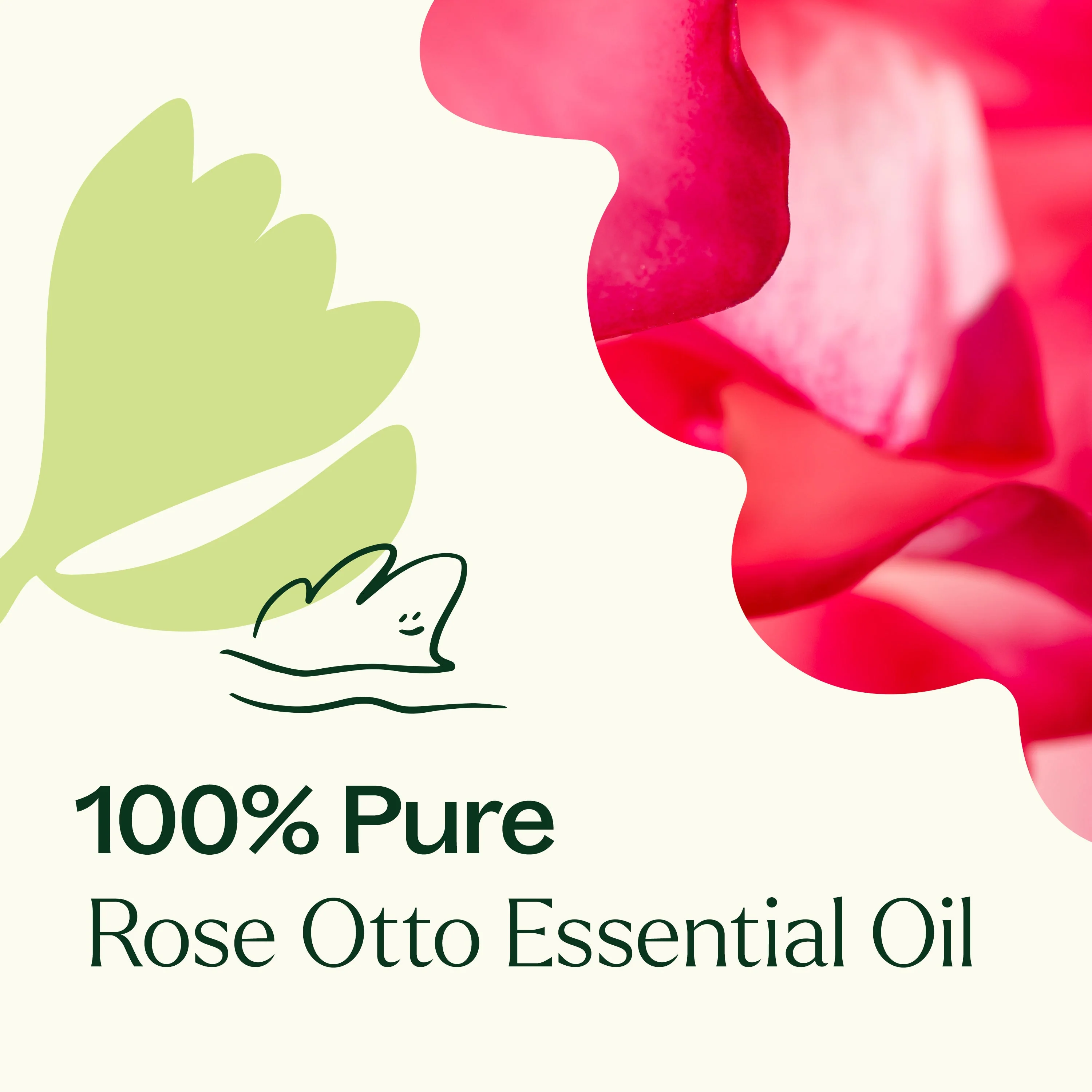 Rose Otto Essential Oil - Image 5