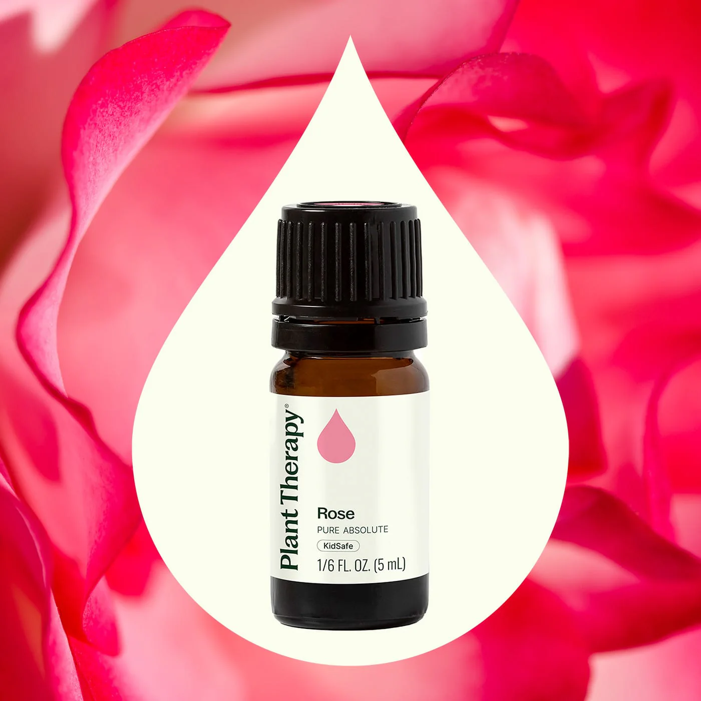 Rose Pure Absolute Essential Oil - Image 2