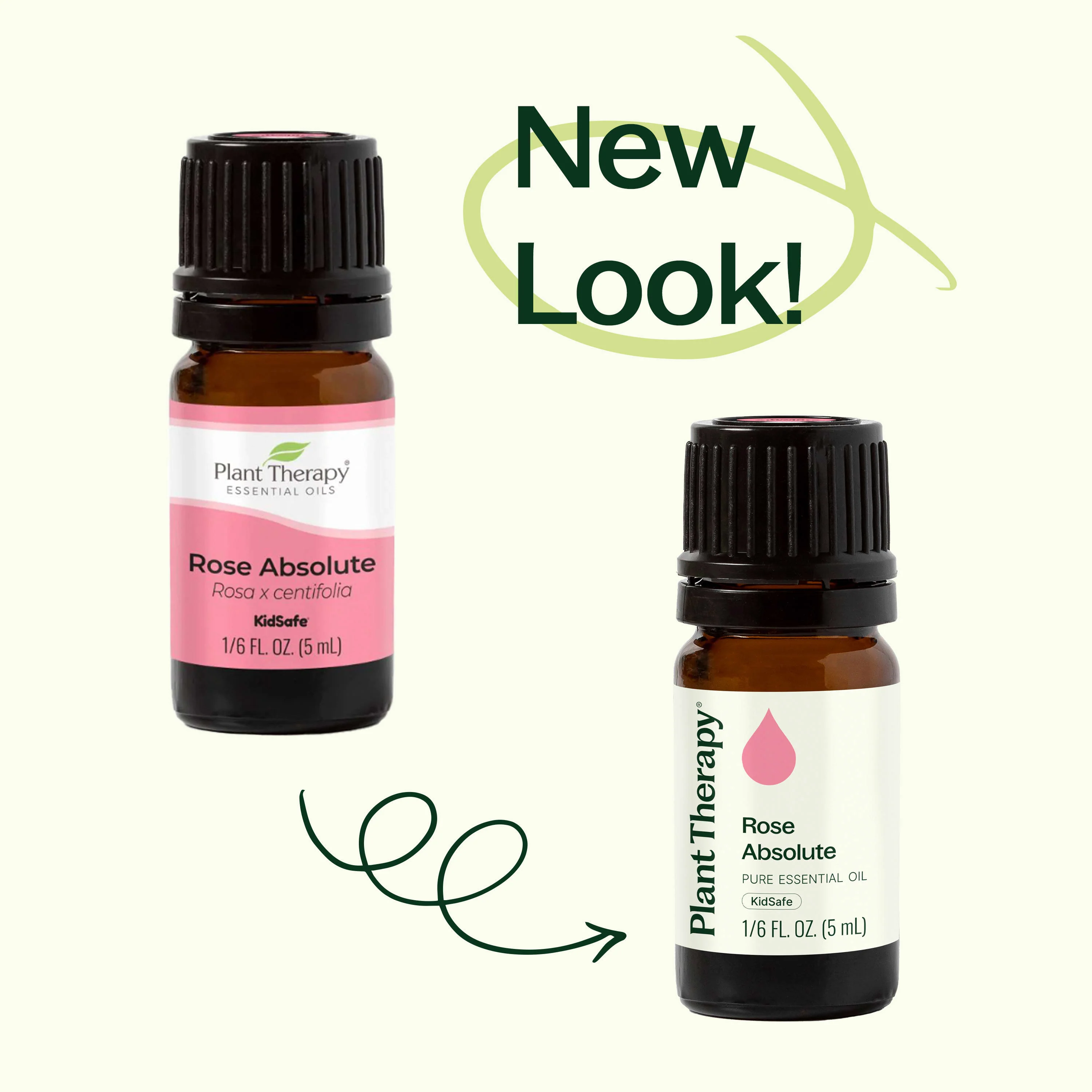 Rose Pure Absolute Essential Oil - Image 3