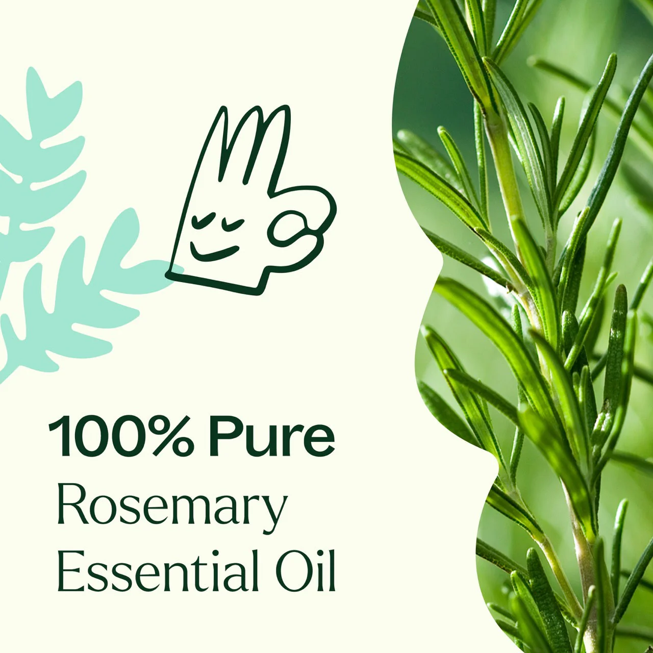 Rosemary 1,8-Cineole Essential Oil - Image 4