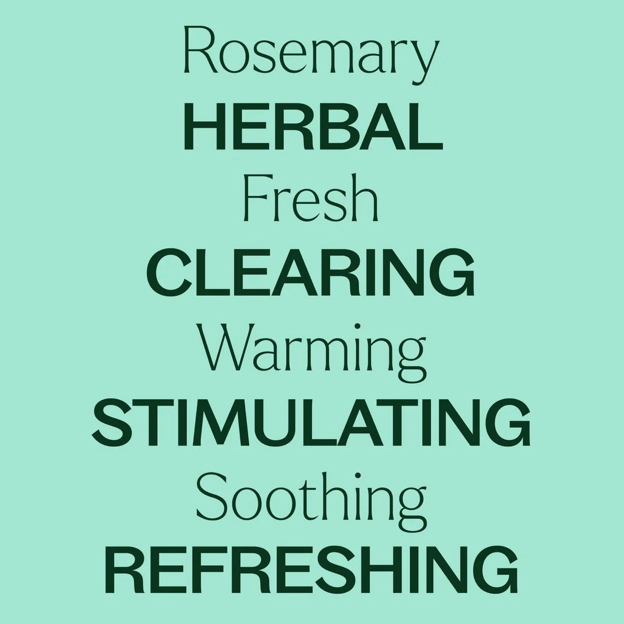 Rosemary 1,8-Cineole Essential Oil - Image 5