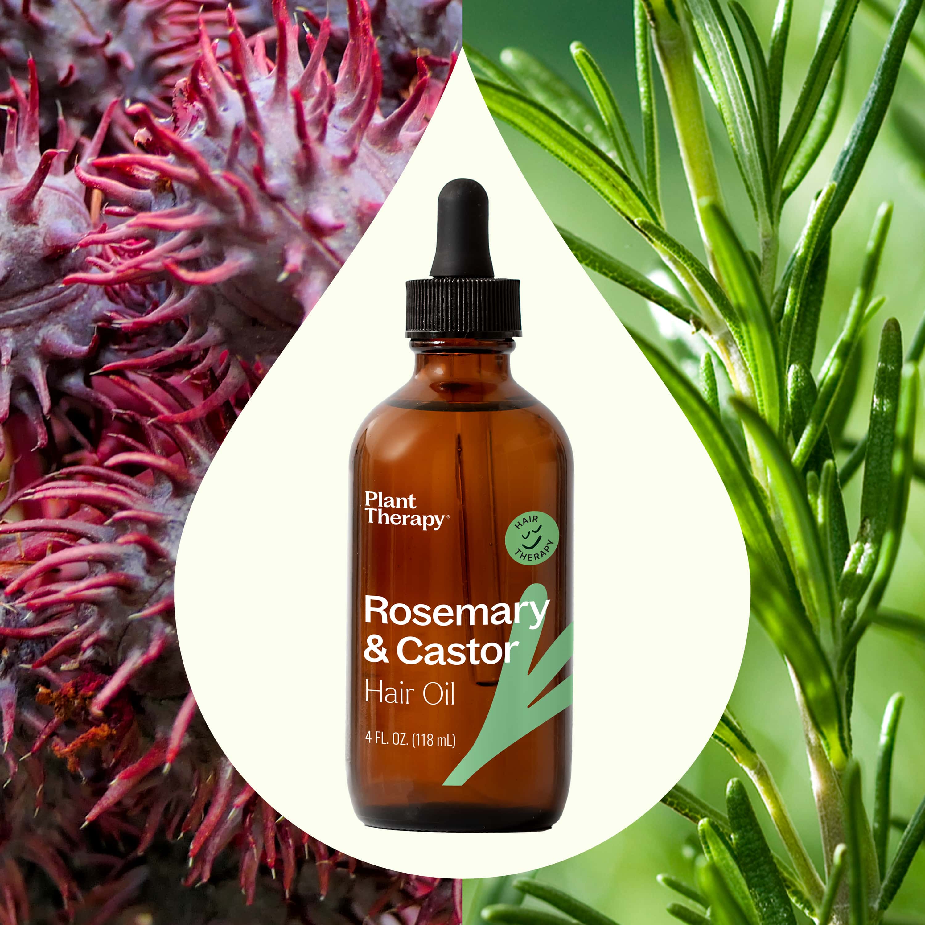 Rosemary & Castor Hair Oil - Image 6