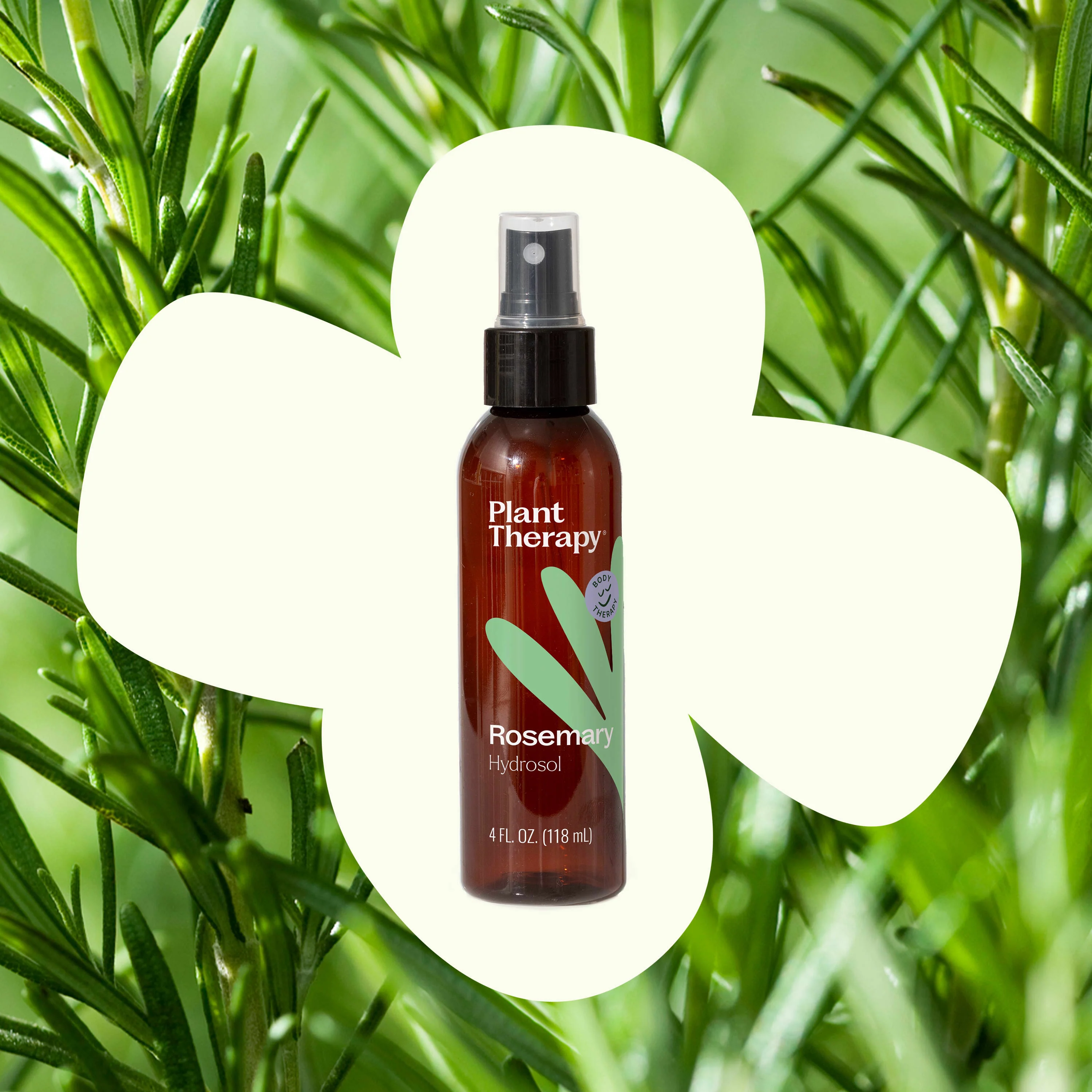Rosemary Hydrosol - Image 2