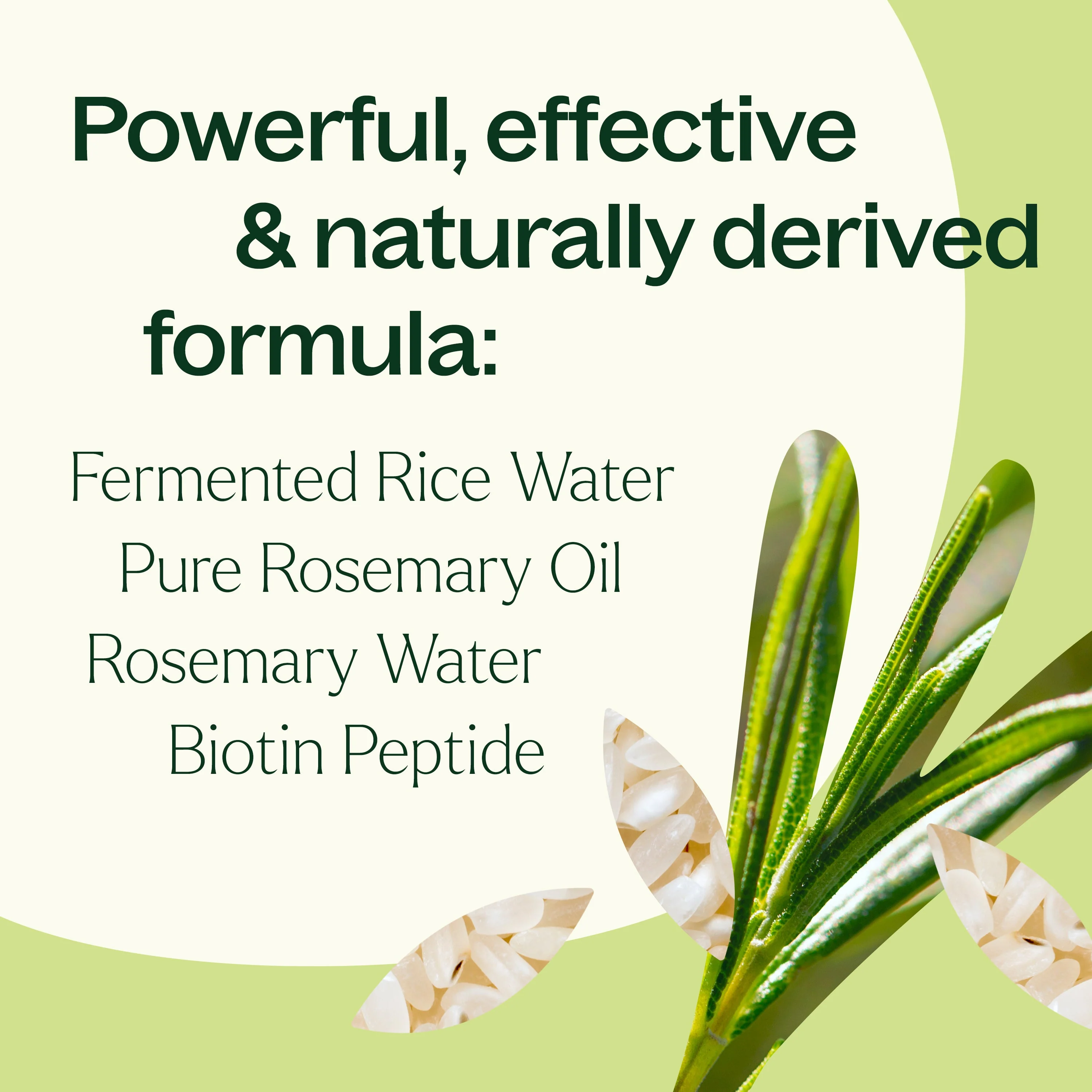 Rosemary & Rice Water Daily Hair Growth Spray - Image 3