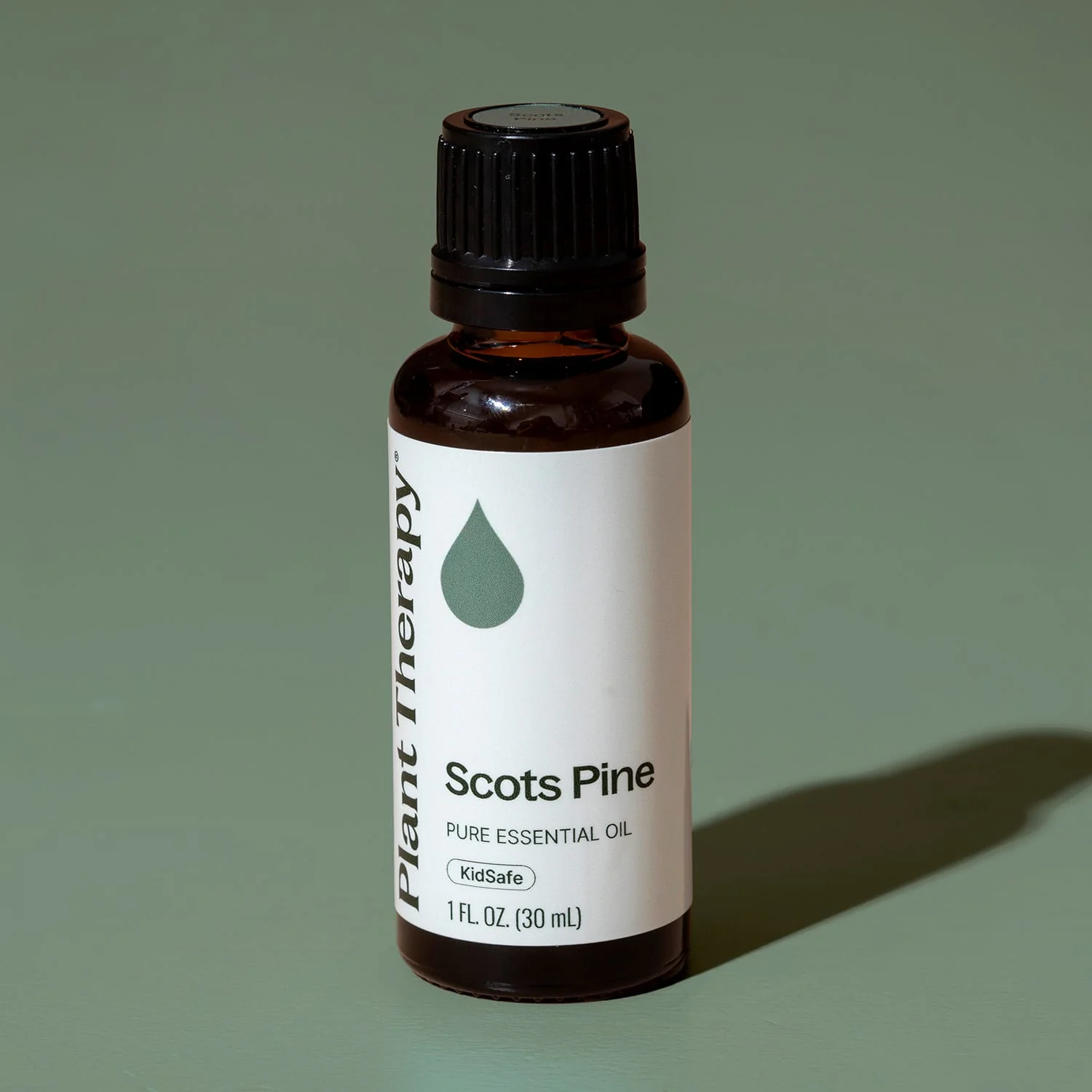 Scots Pine Essential Oil - Image 10