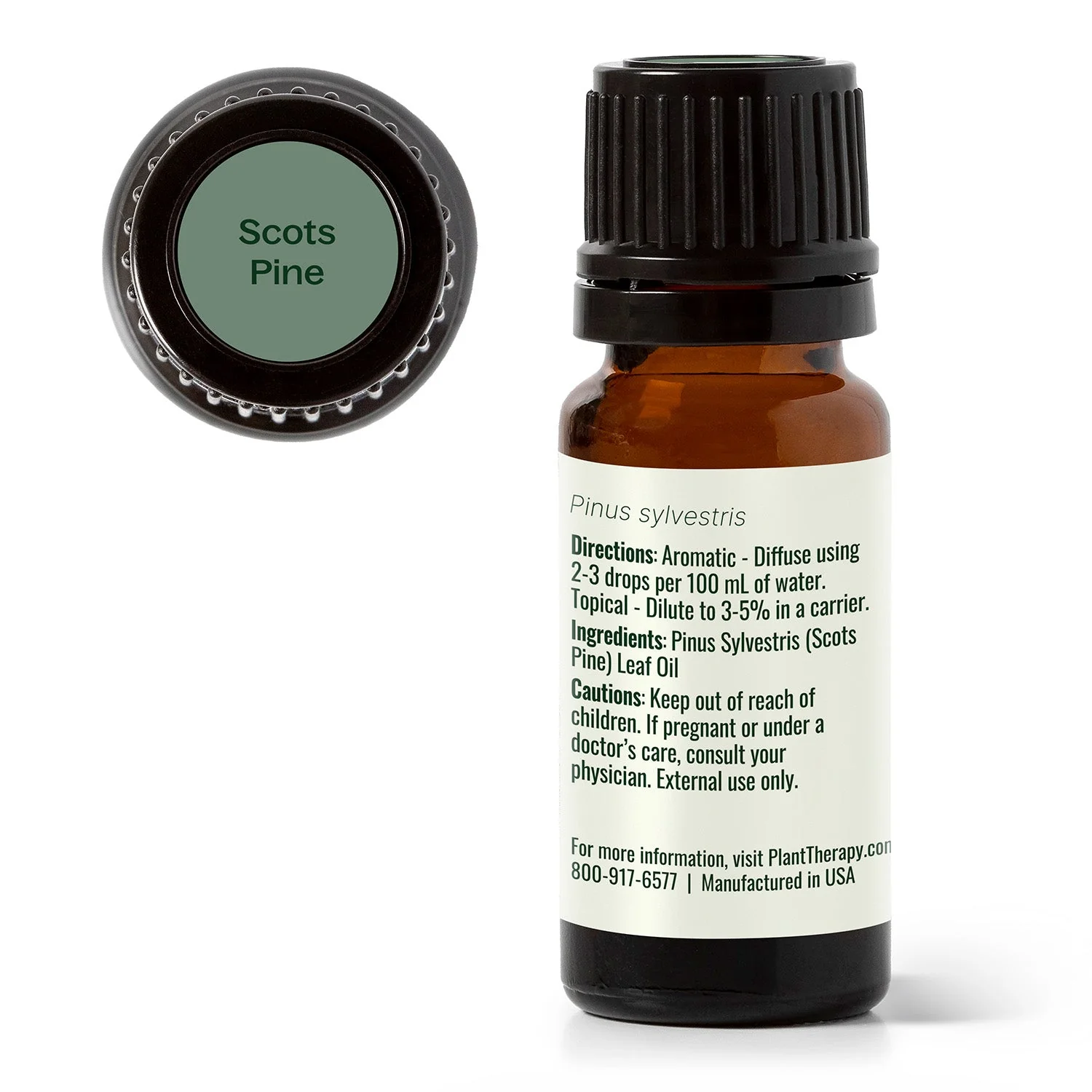 Scots Pine Essential Oil - Image 11