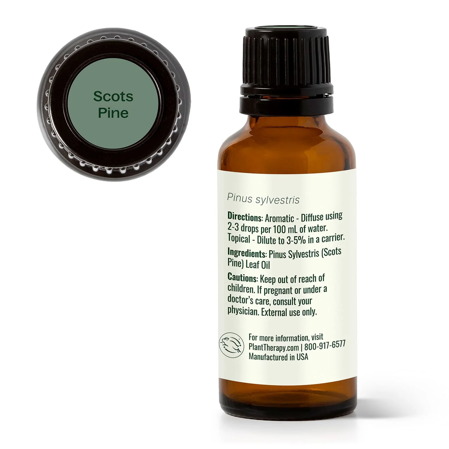 Scots Pine Essential Oil - Image 12