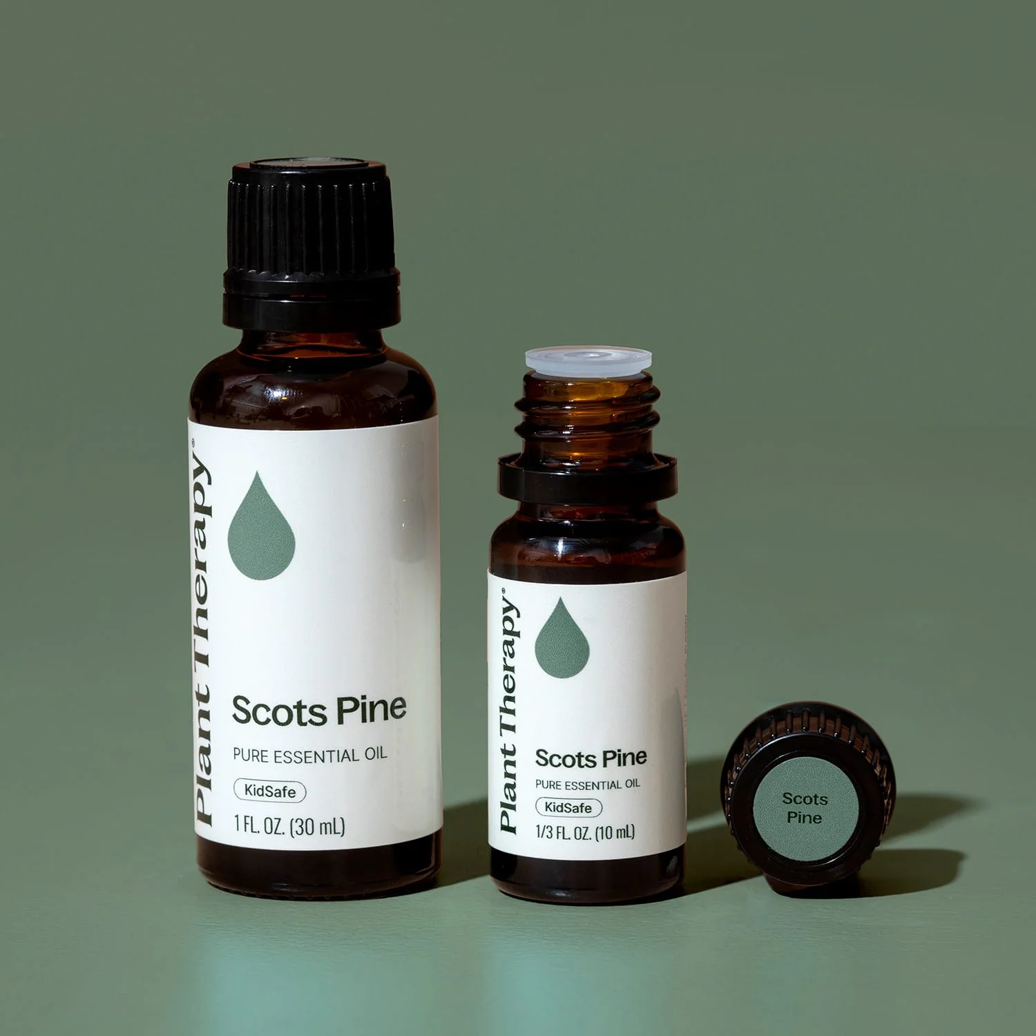 Scots Pine Essential Oil - Image 8