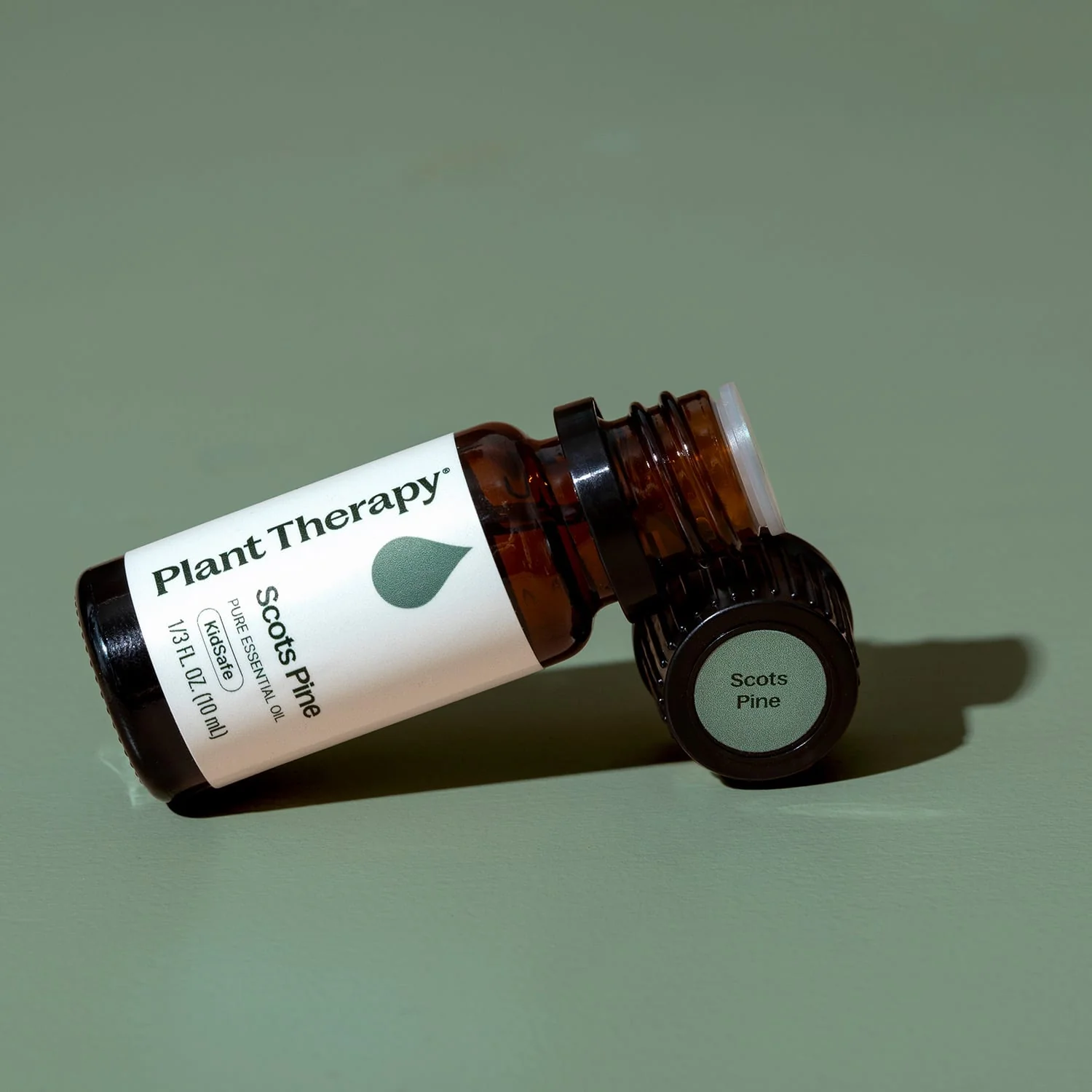 Scots Pine Essential Oil - Image 9