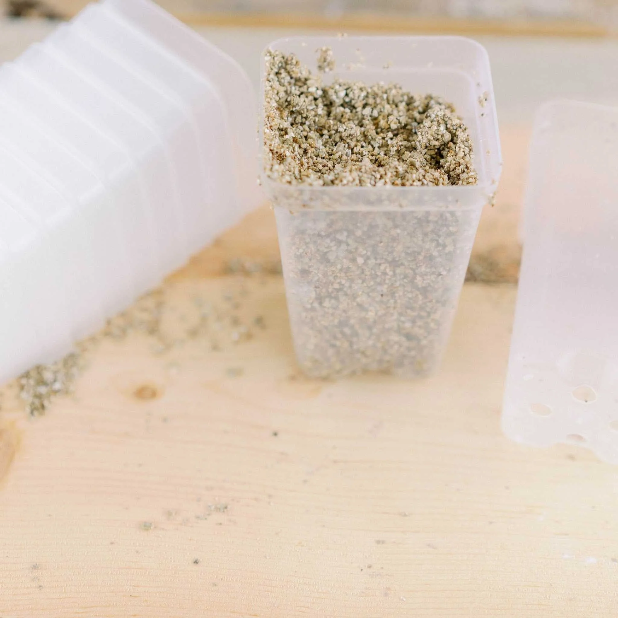 Seed Starter Pots - 2.5" Extra Strength - Image 13