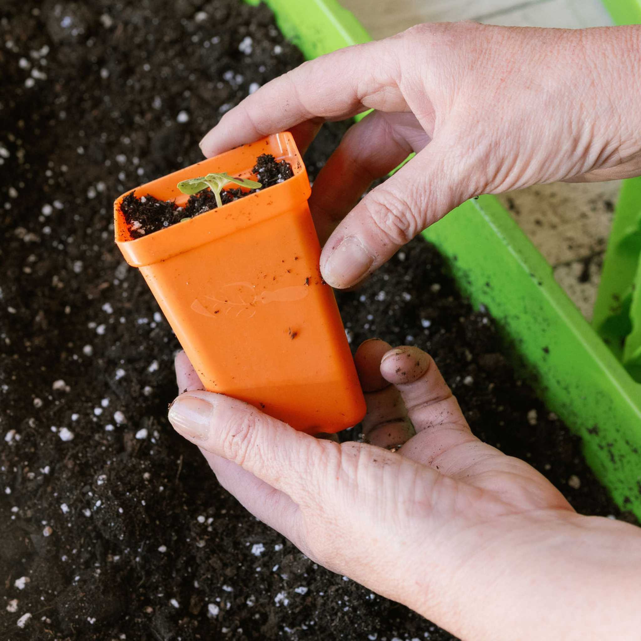 Seed Starter Pots - 2.5" Extra Strength - Image 19