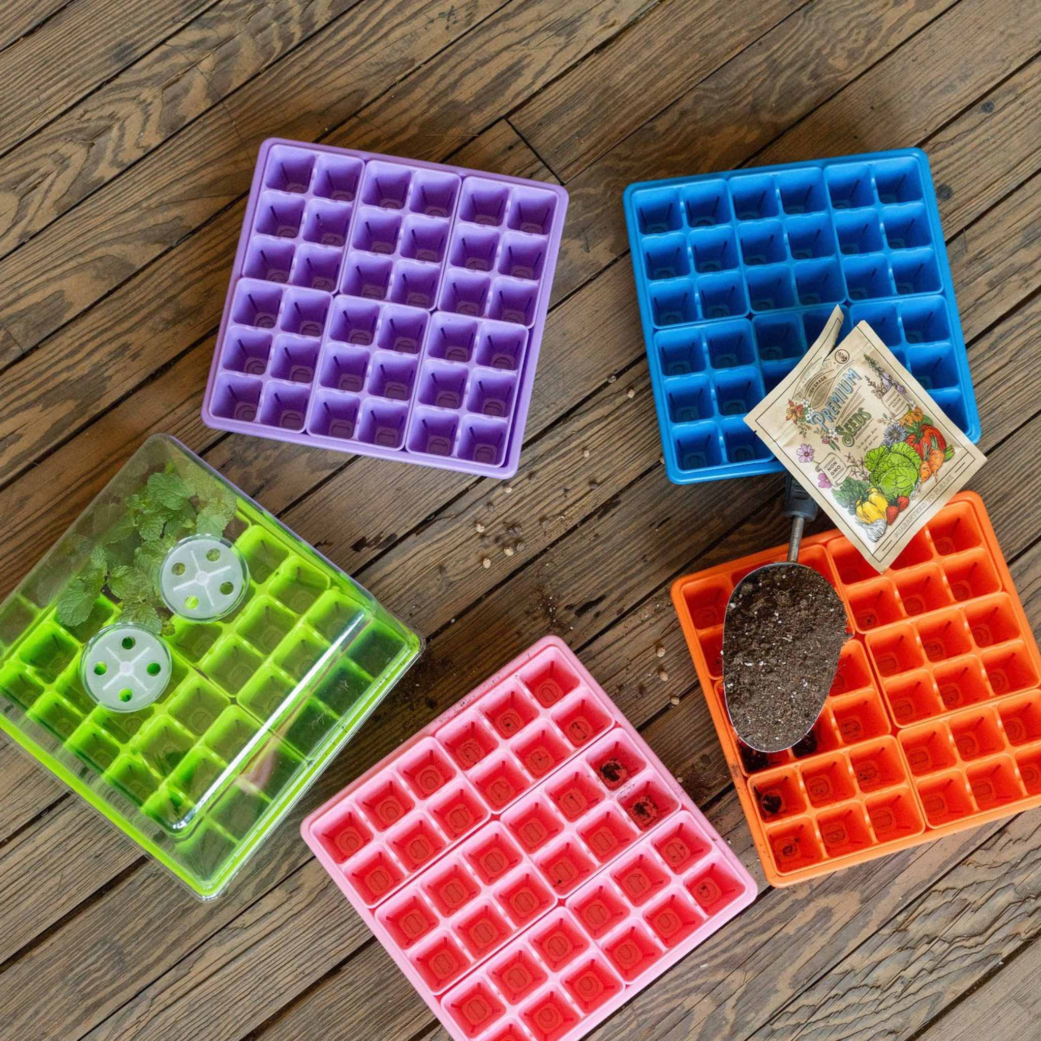 Seed Starting Workshop Bundle - Image 2