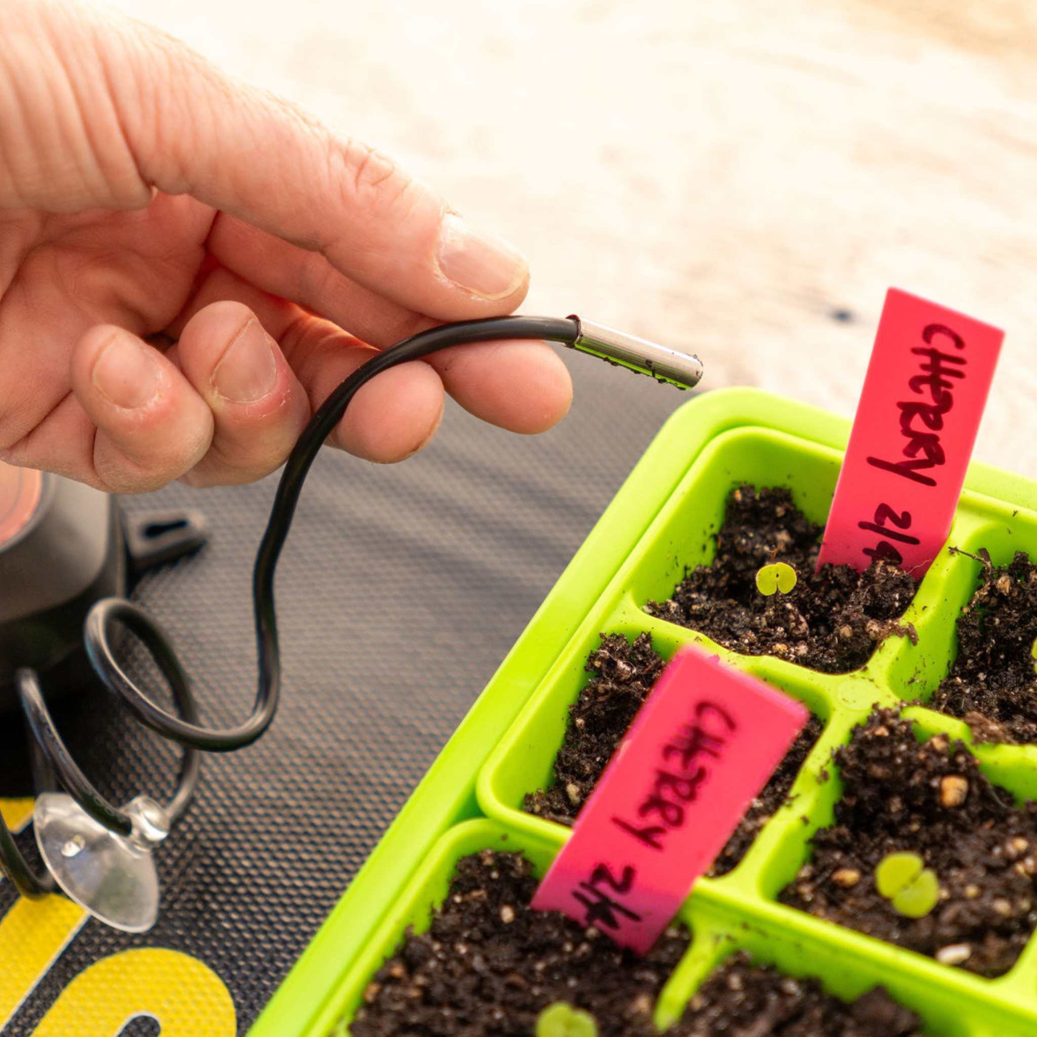 Seedling Heat Mat Temperature Controller - Image 6
