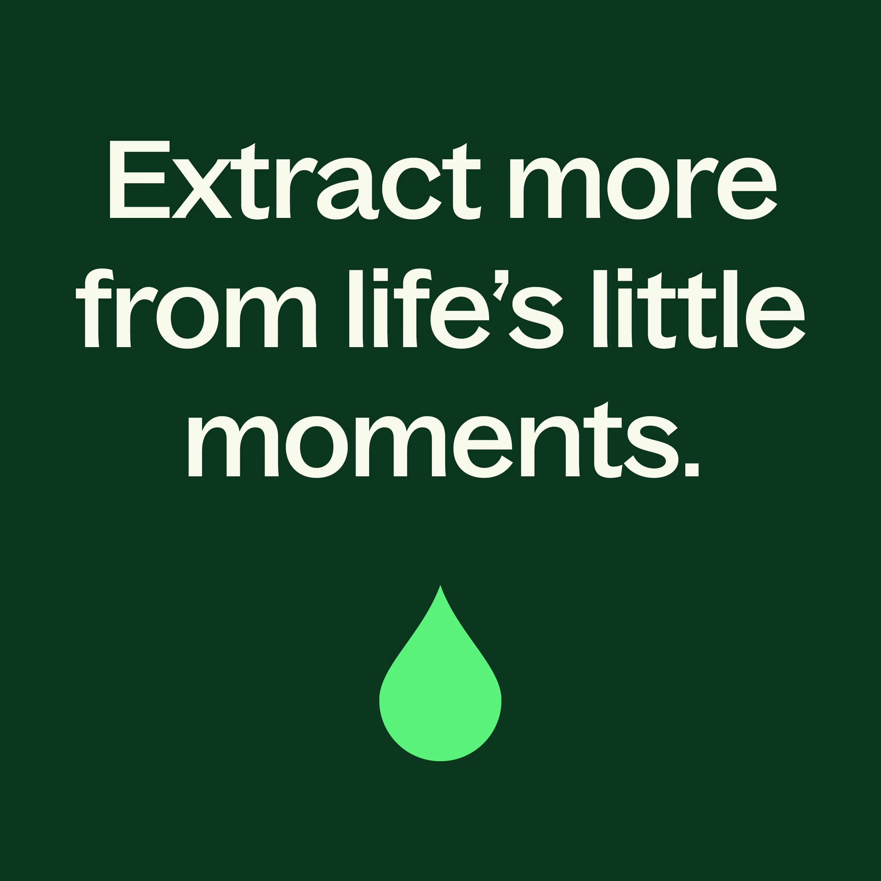 Sensual Essential Oil Blend - Image 7