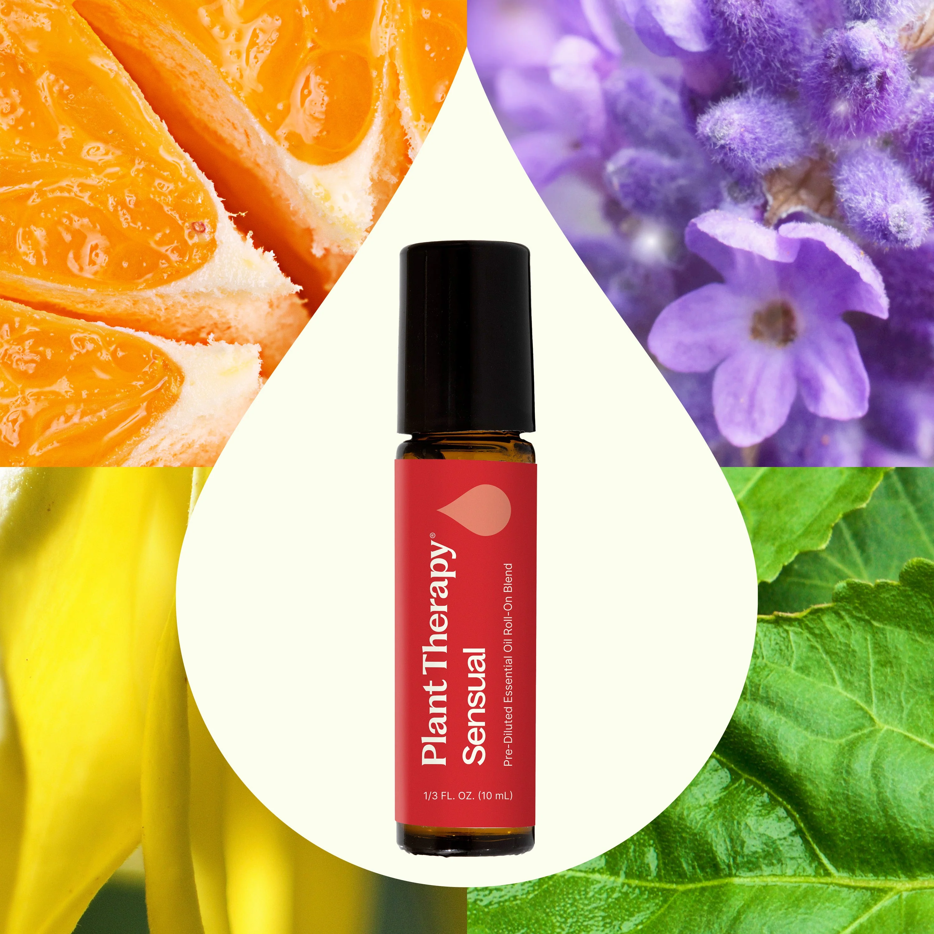 Sensual Essential Oil Blend Pre-Diluted Roll-On - Image 2