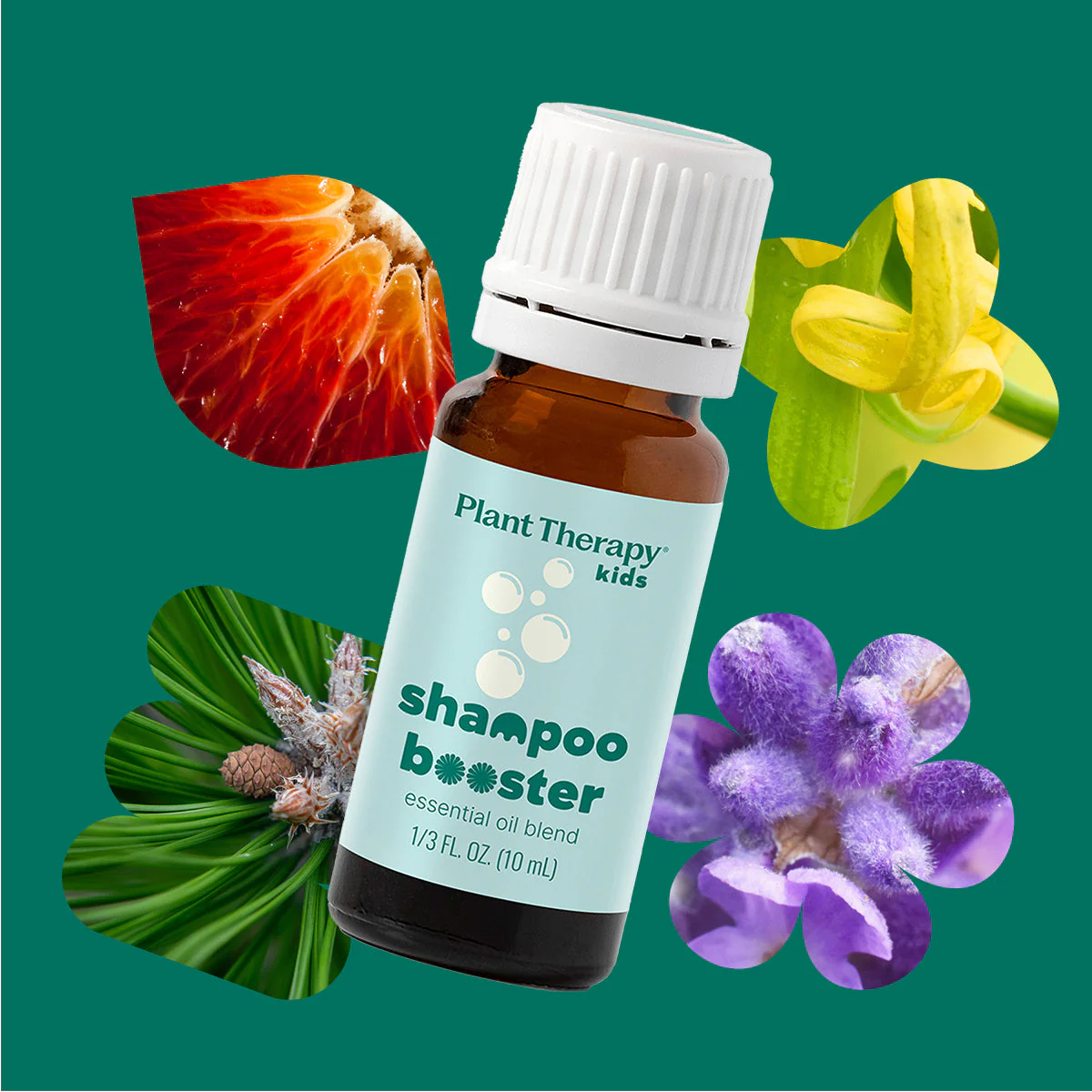 Shampoo Booster Essential Oil Blend - Image 5