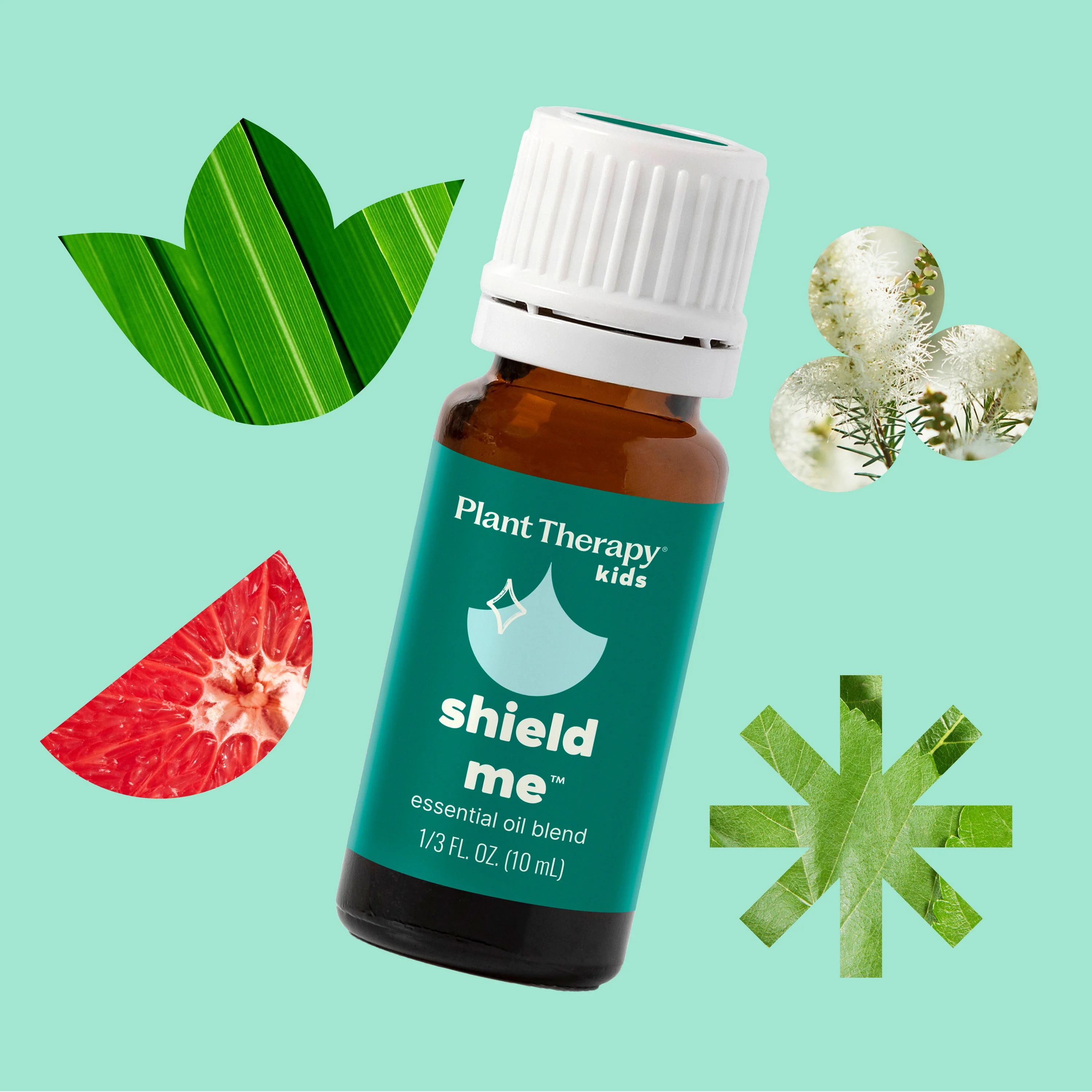 Shield Me Essential Oil - Image 8