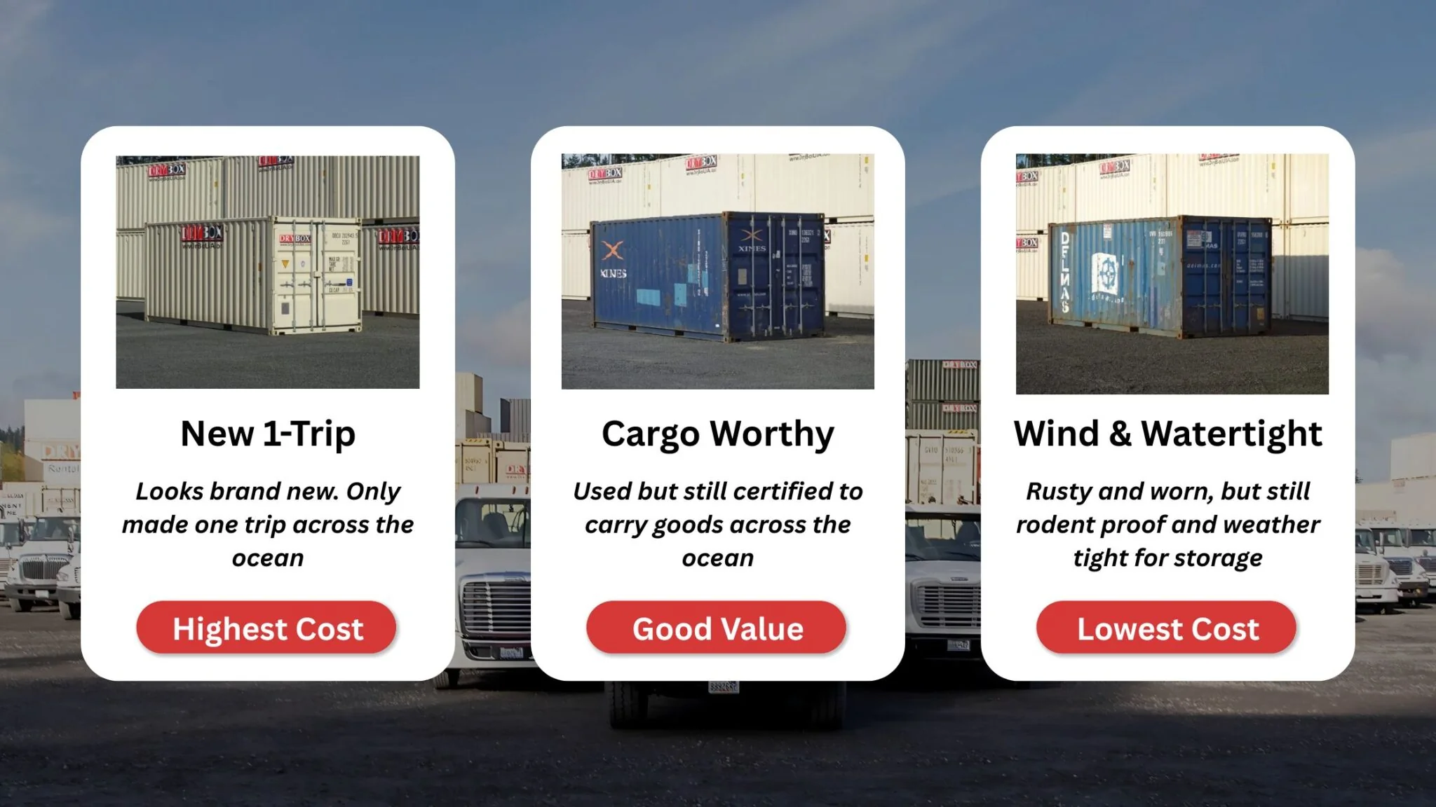 Shipping Containers For Sale - Dry Box - Image 3