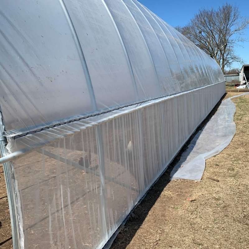 Sidewall Insect Netting - Image 2