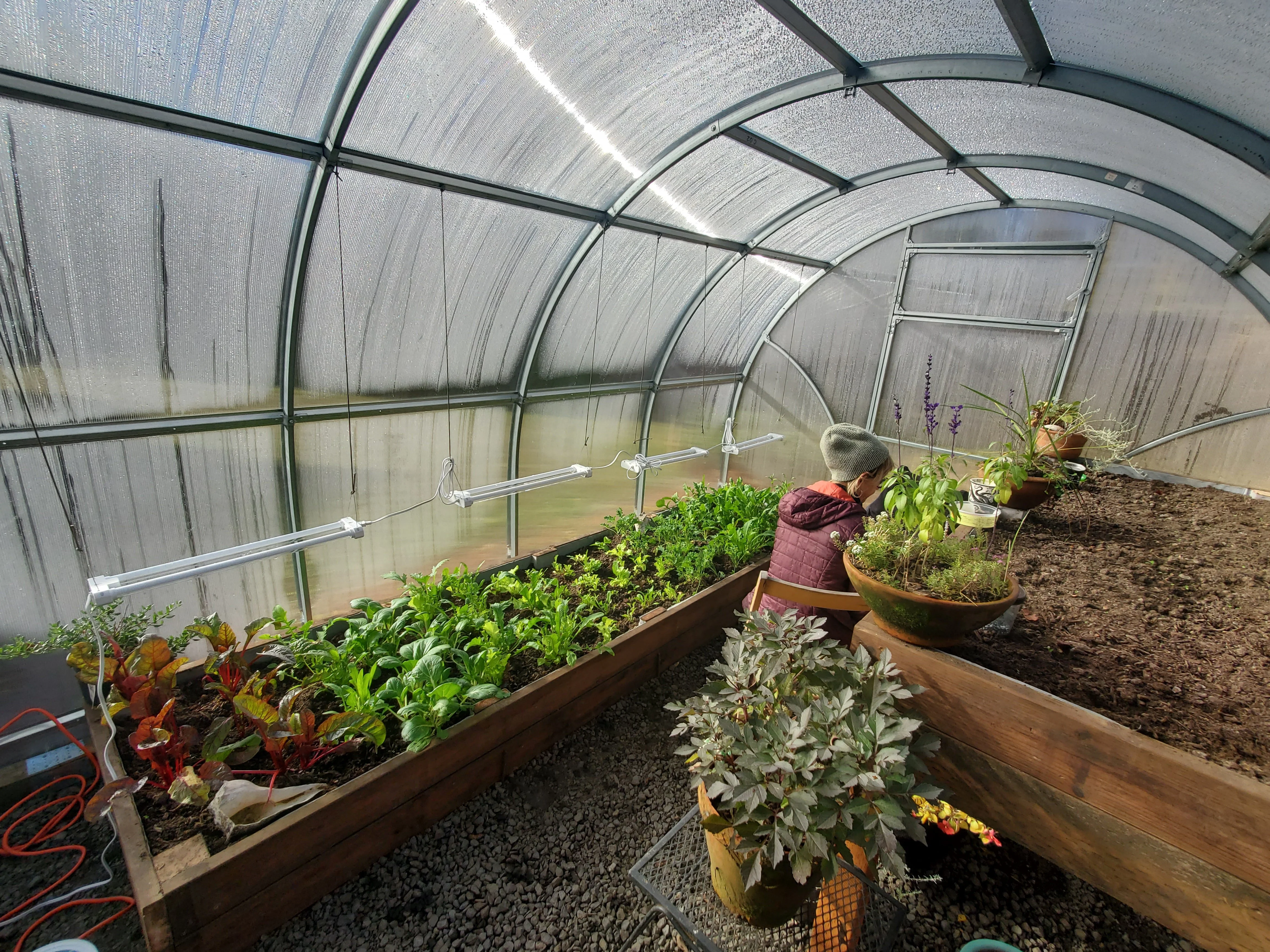 Sigma Urban - Image 6