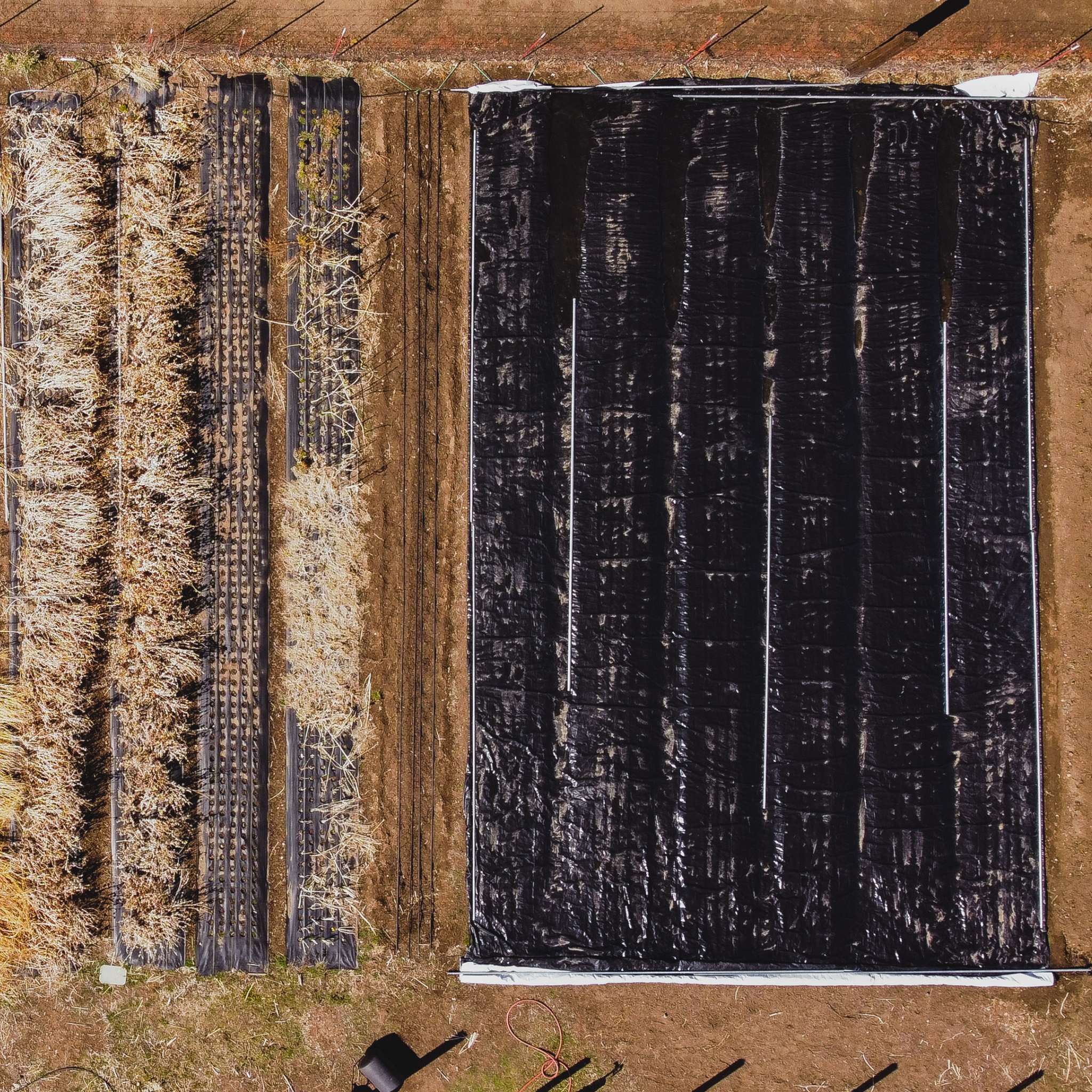 Silage Tarp - 6 mil Reversible Black & White - Image 3