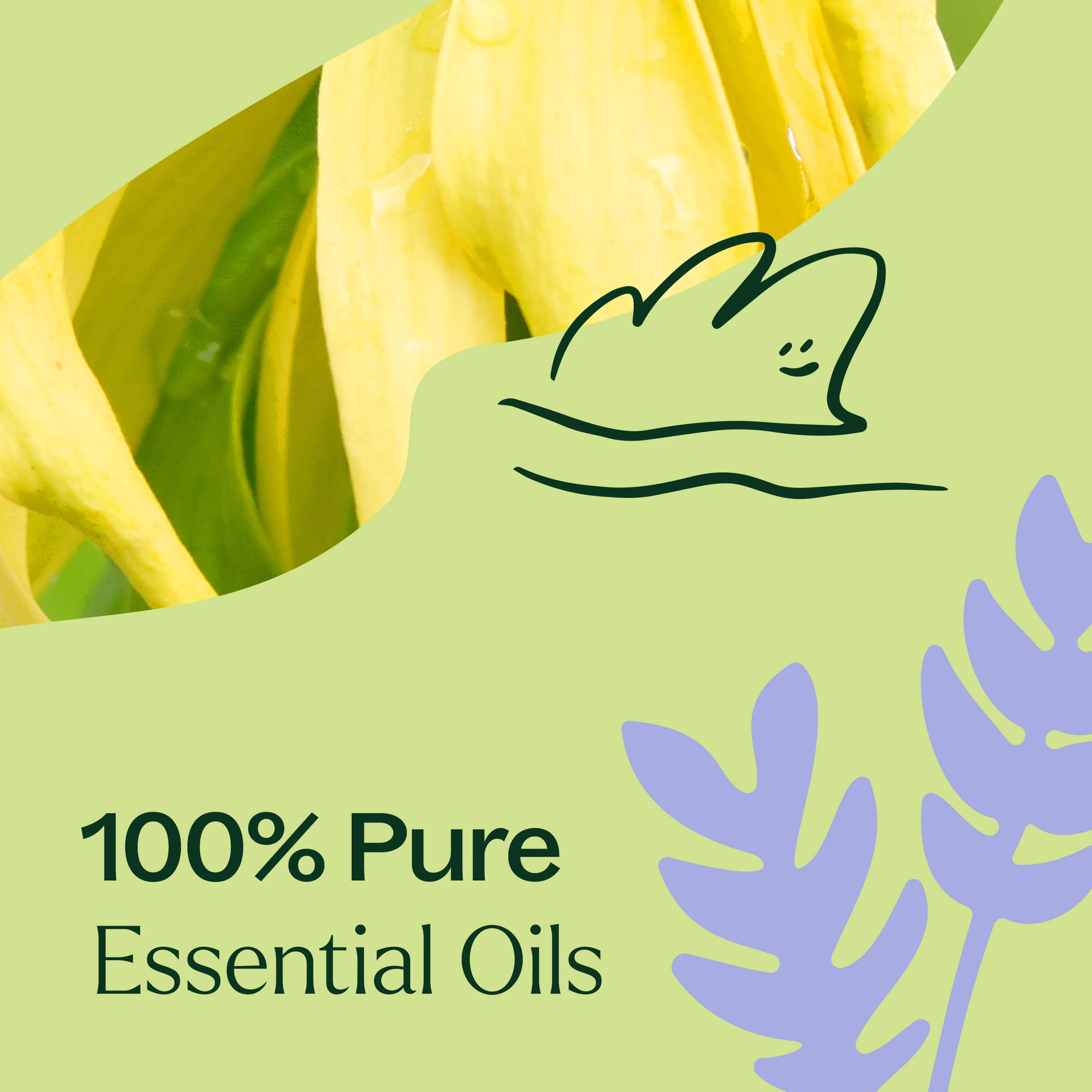 Sleep Aid Essential Oil Blend - Image 5