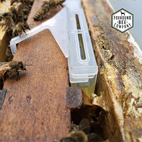 Small Hive Beetle Baitable Trap - Image 7