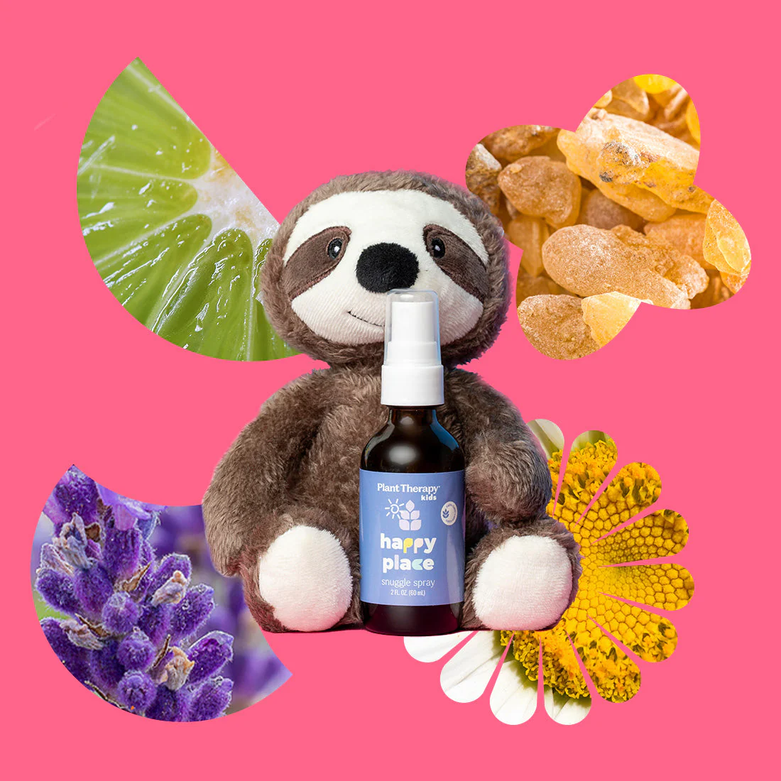 Snuggle Sloth - Image 4