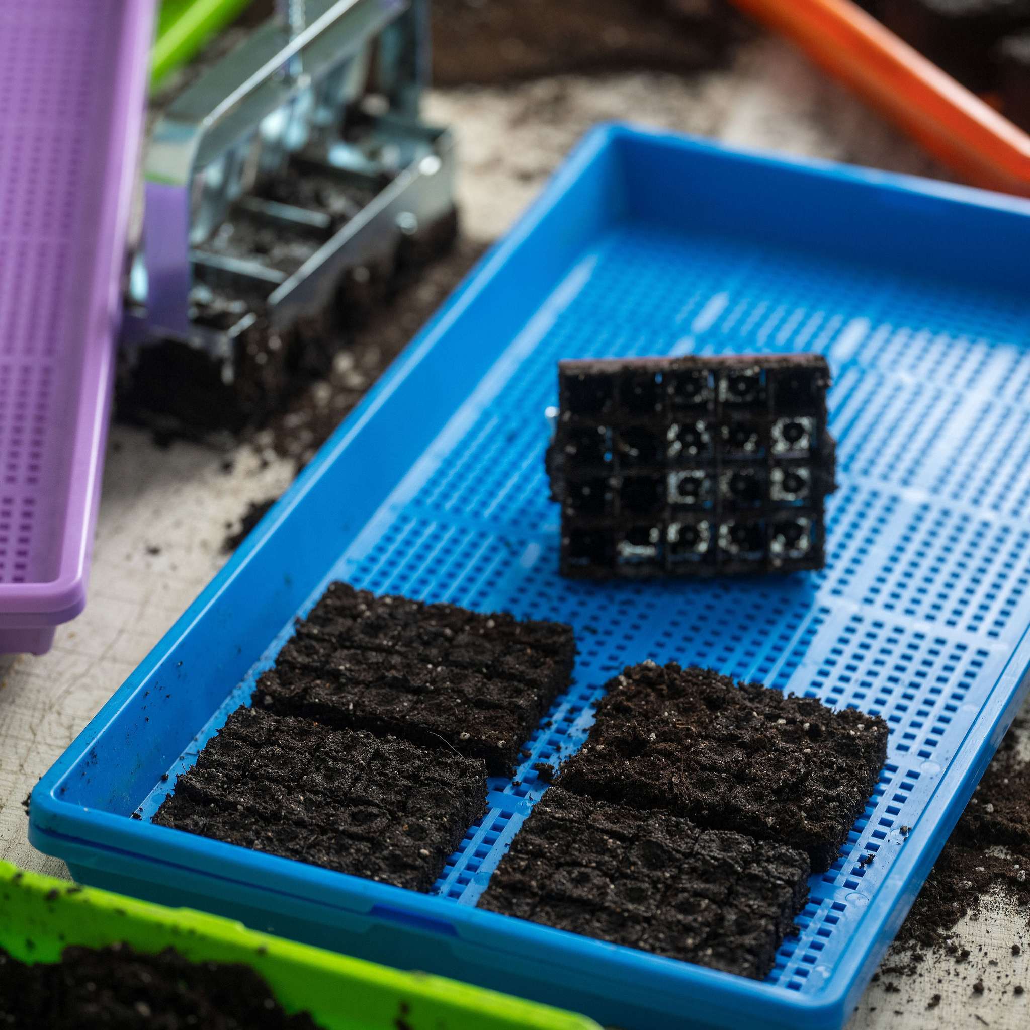 Soil Blocking Starter Kit - Image 6