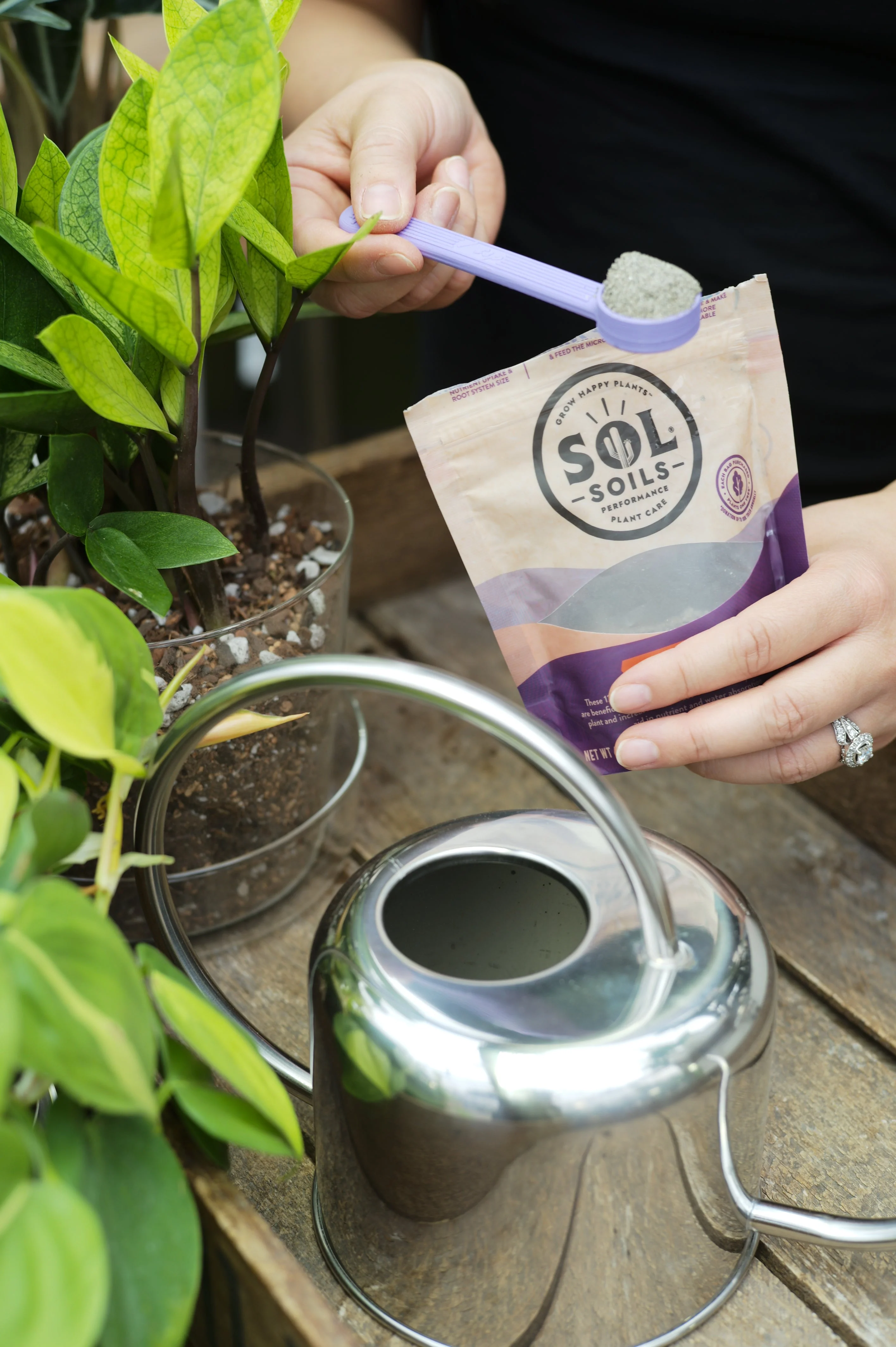 Sol Biotics Bundle Pack - Image 2
