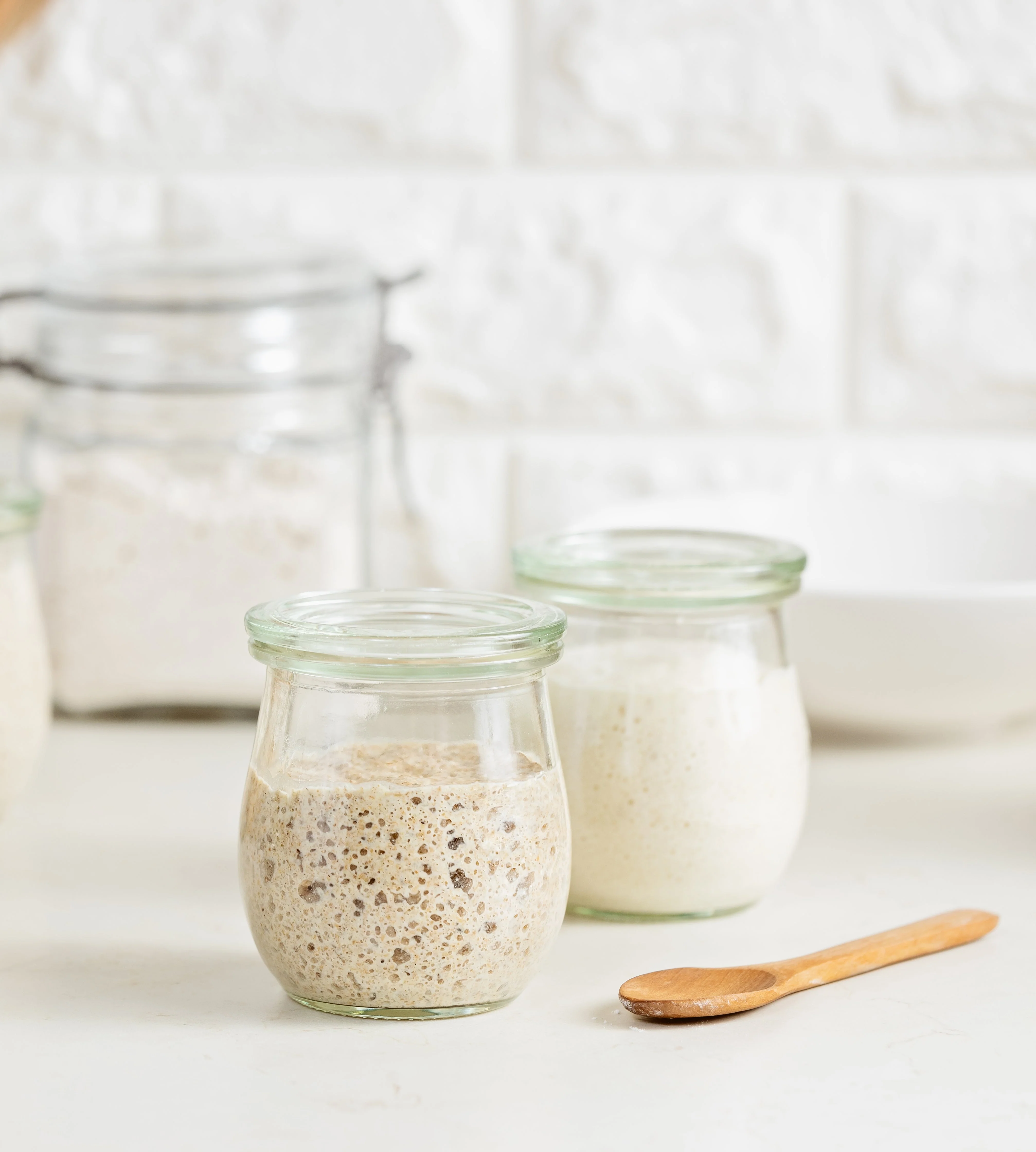 Sourdough Starter - Image 3