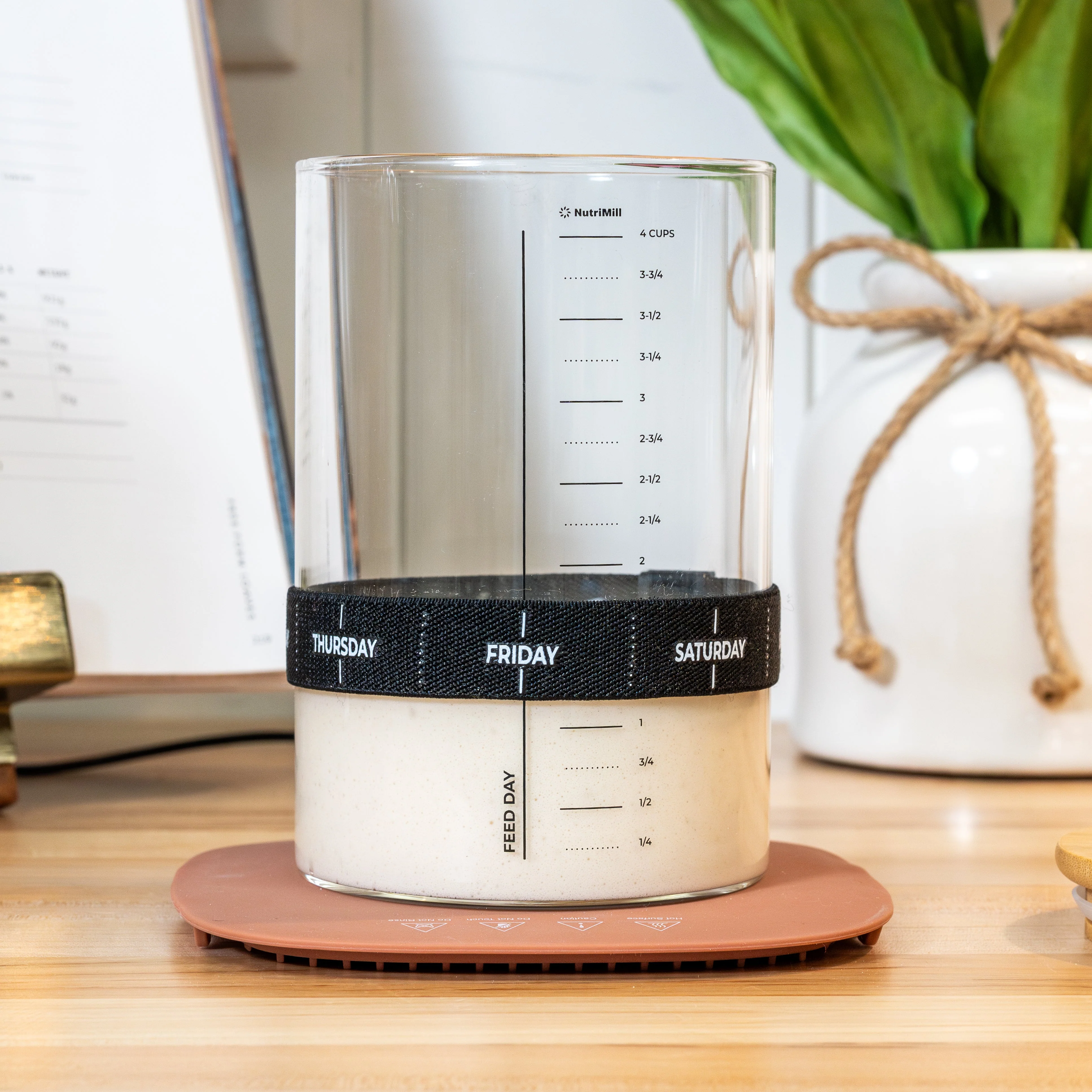 Sourdough Warmer - Image 2
