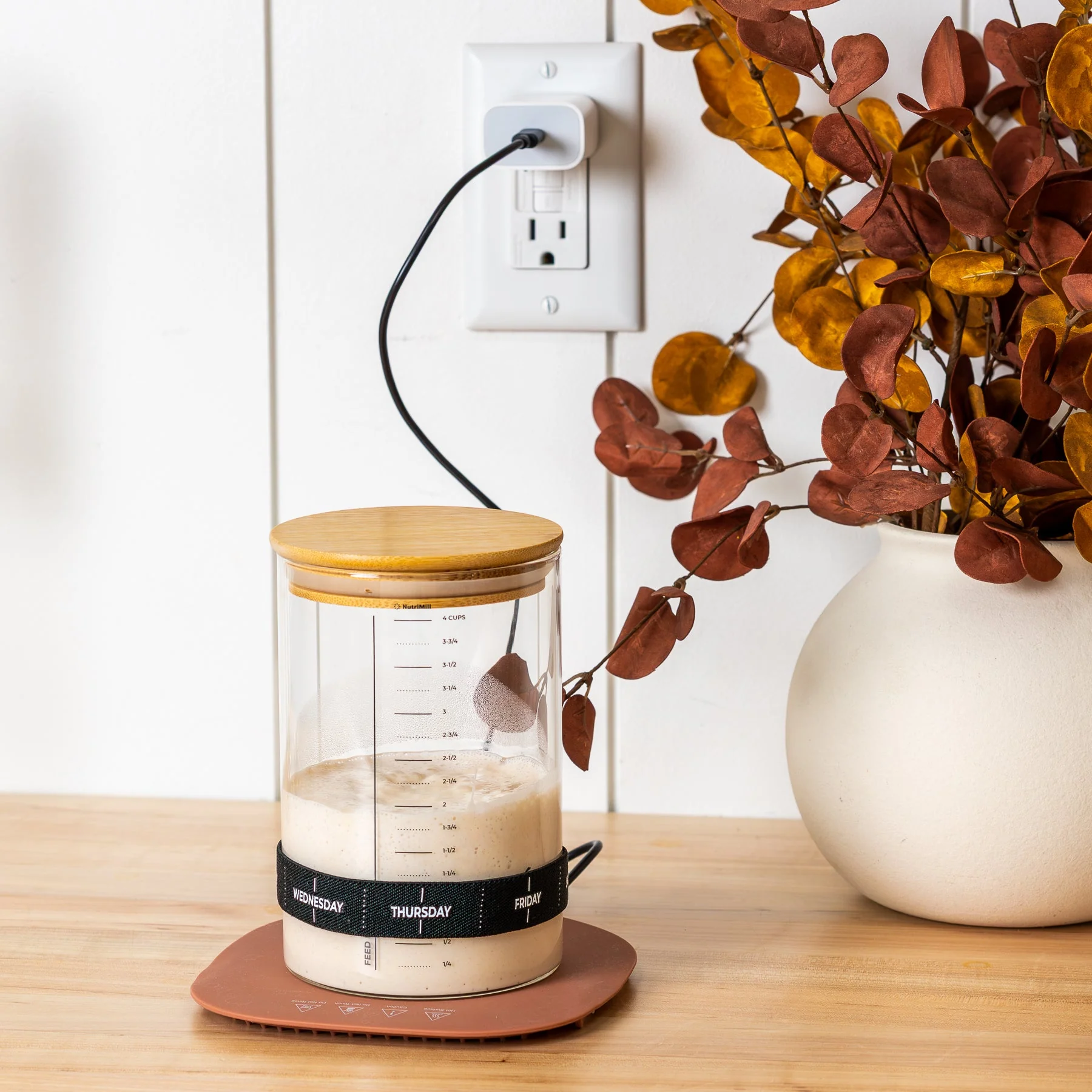 Sourdough Warmer - Image 8