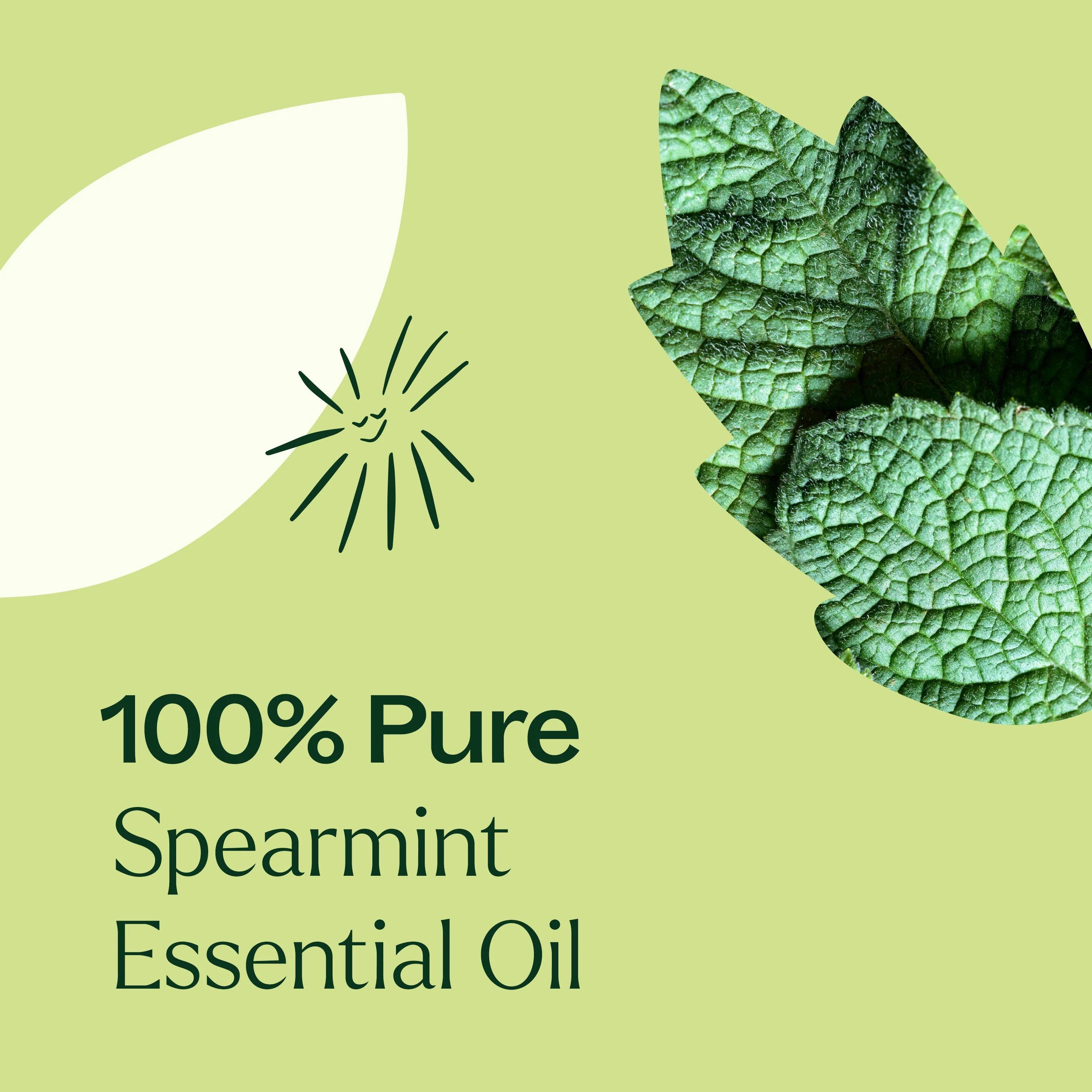 Spearmint Essential Oil - Image 5