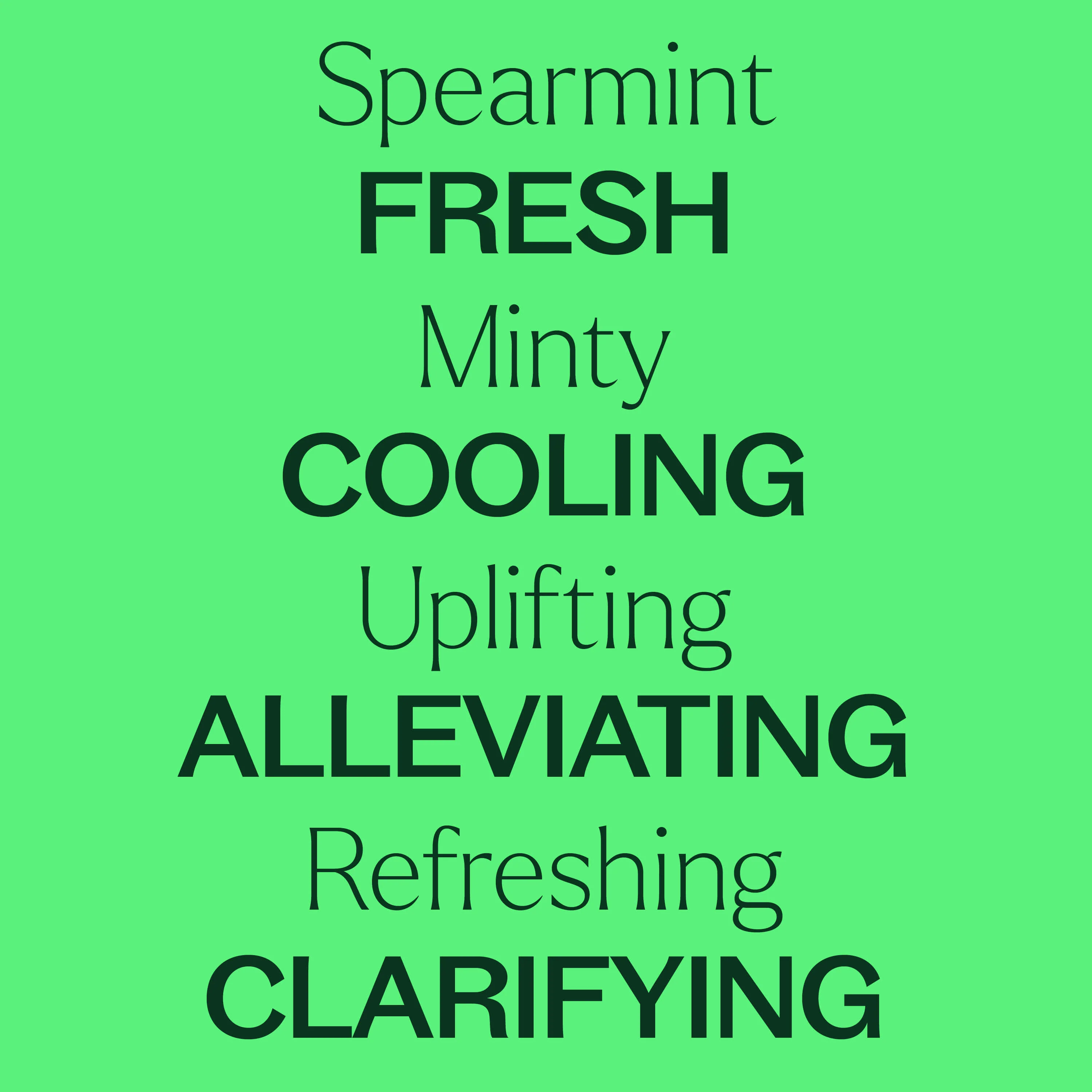 Spearmint Essential Oil - Image 6