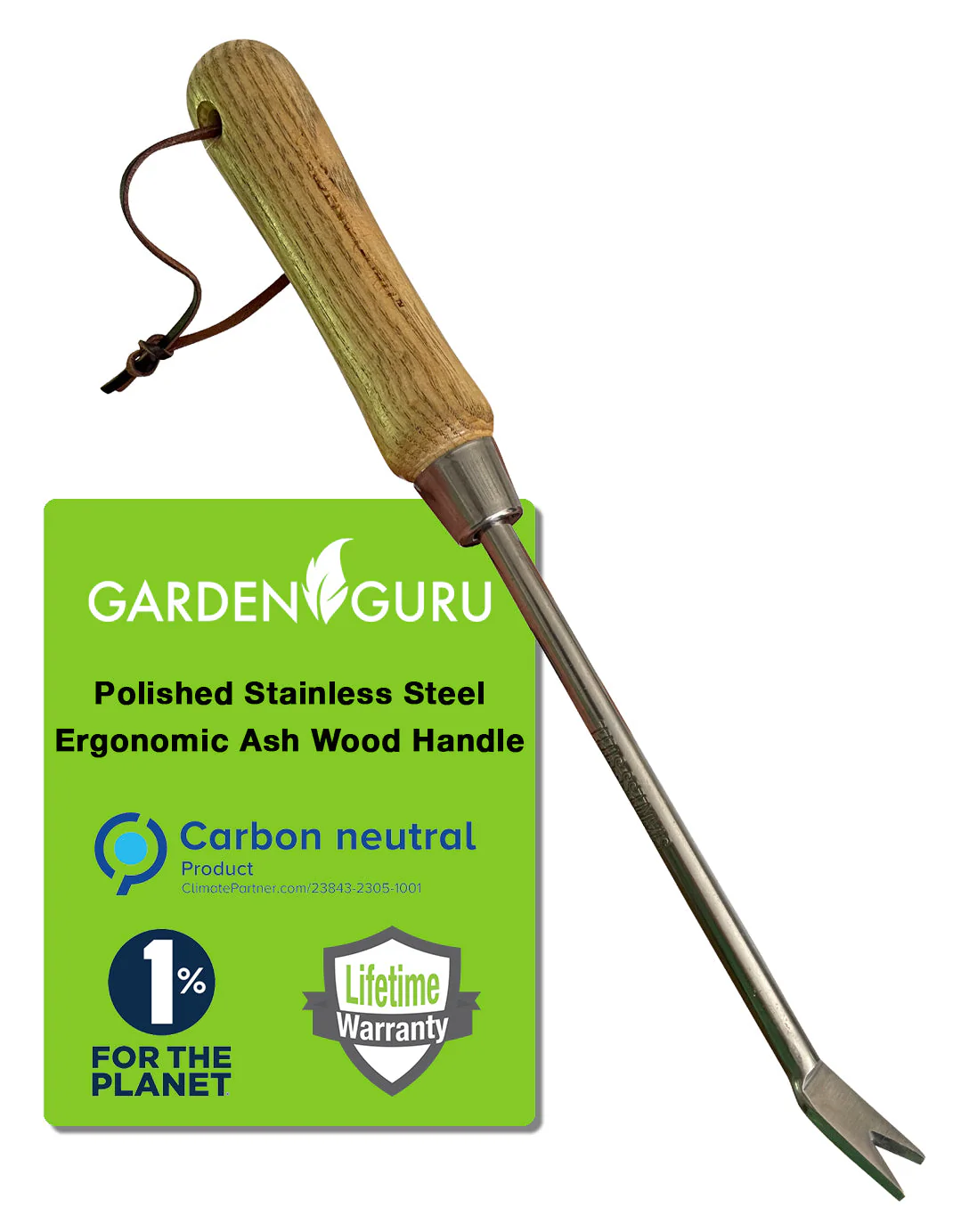 Stainless Steel Garden Dandelion Weeder (classic wood handle) - Image 2