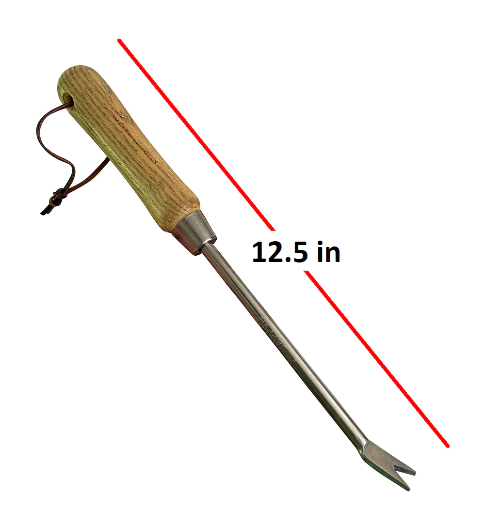 Stainless Steel Garden Dandelion Weeder (classic wood handle) - Image 3