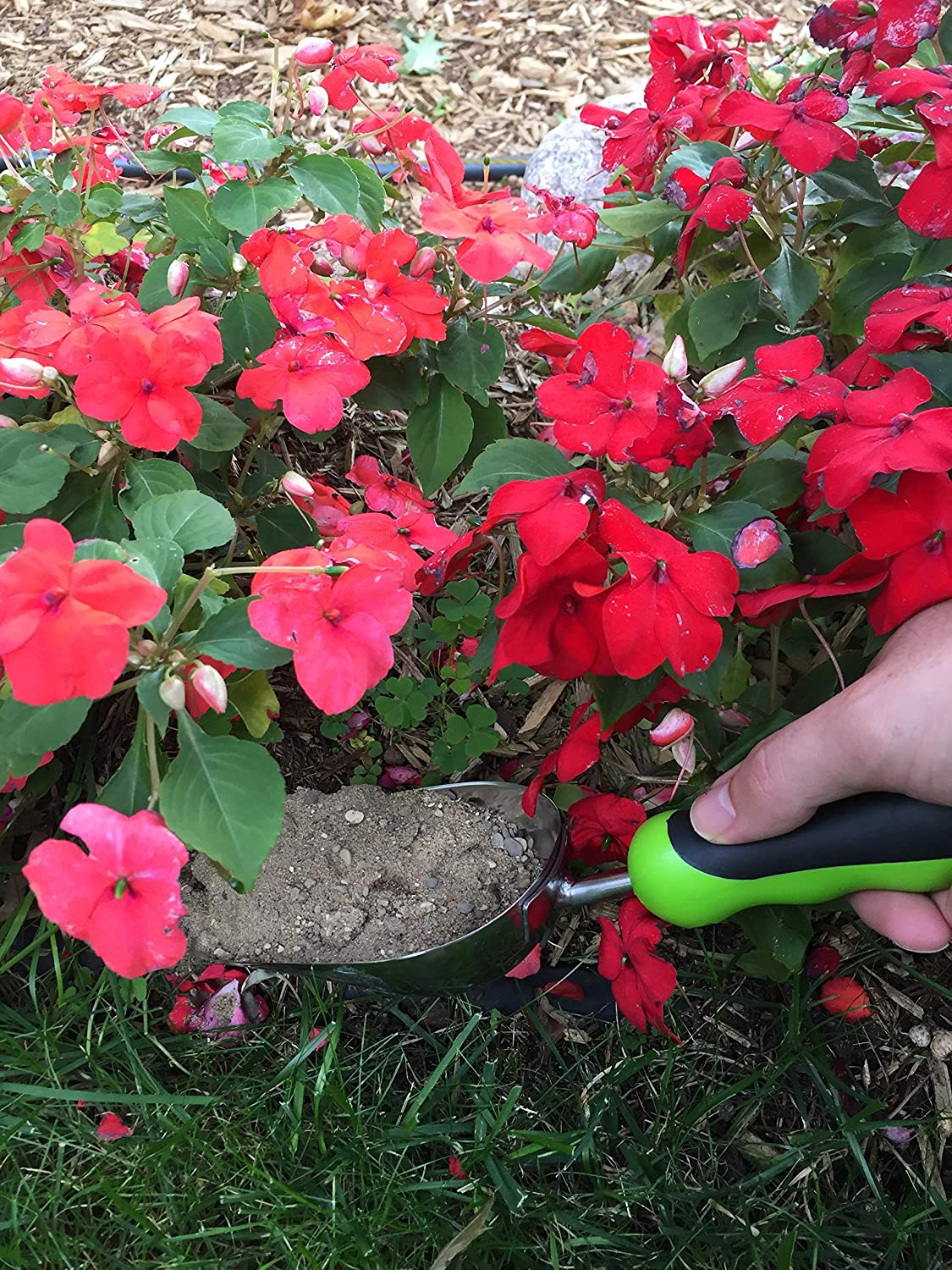 Stainless Steel Garden Scoop Trowel - Image 5