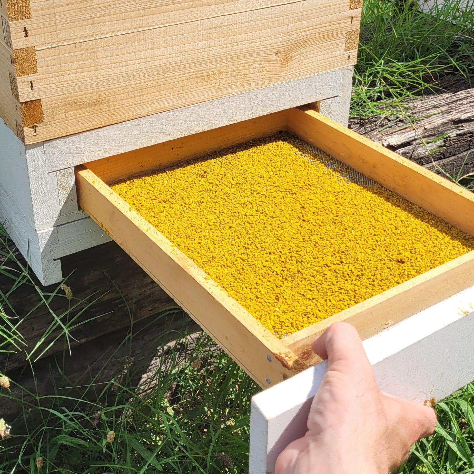 Sundance Pollen Traps - Image 6