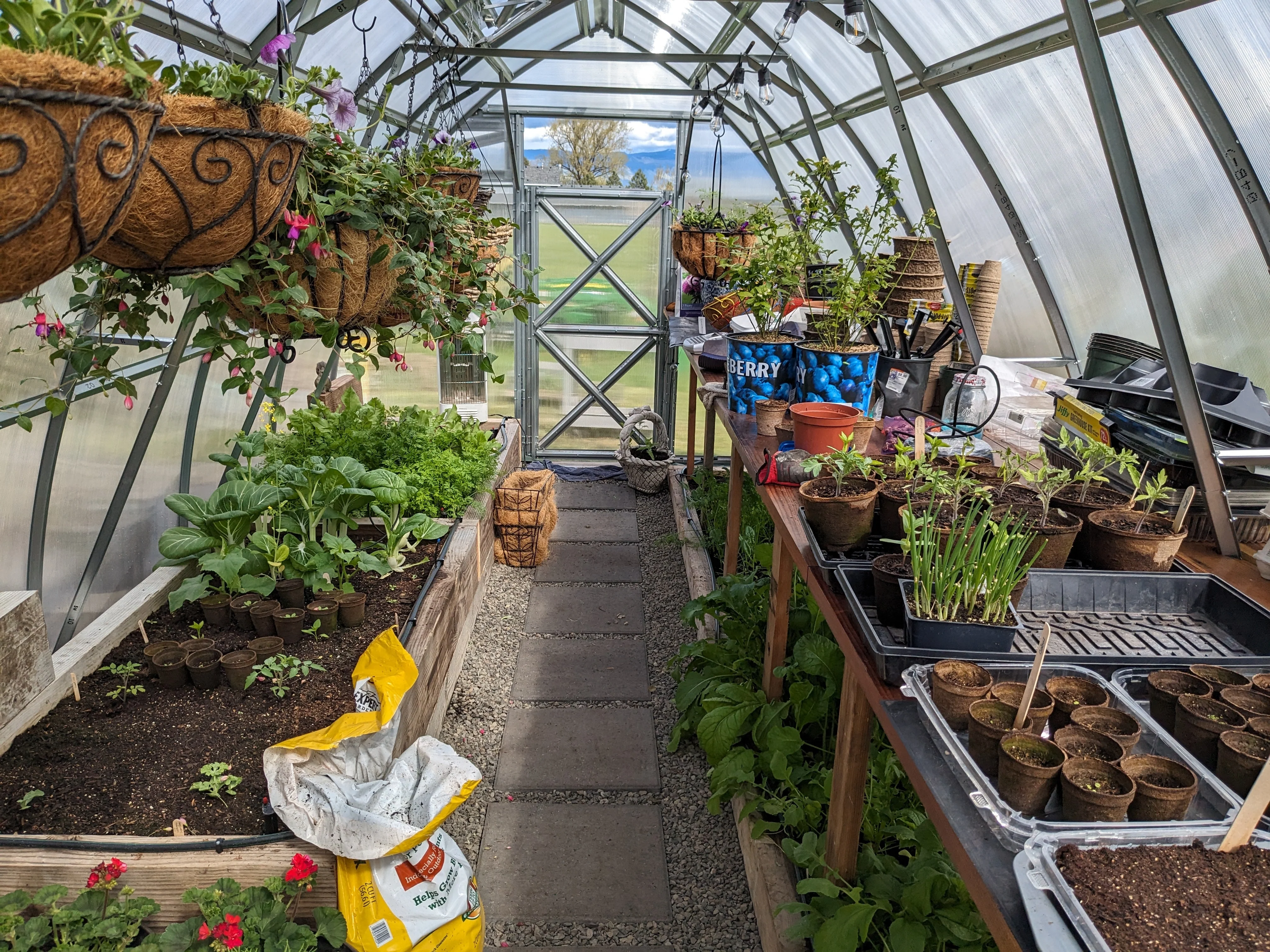 Sungrow 20 - Image 16