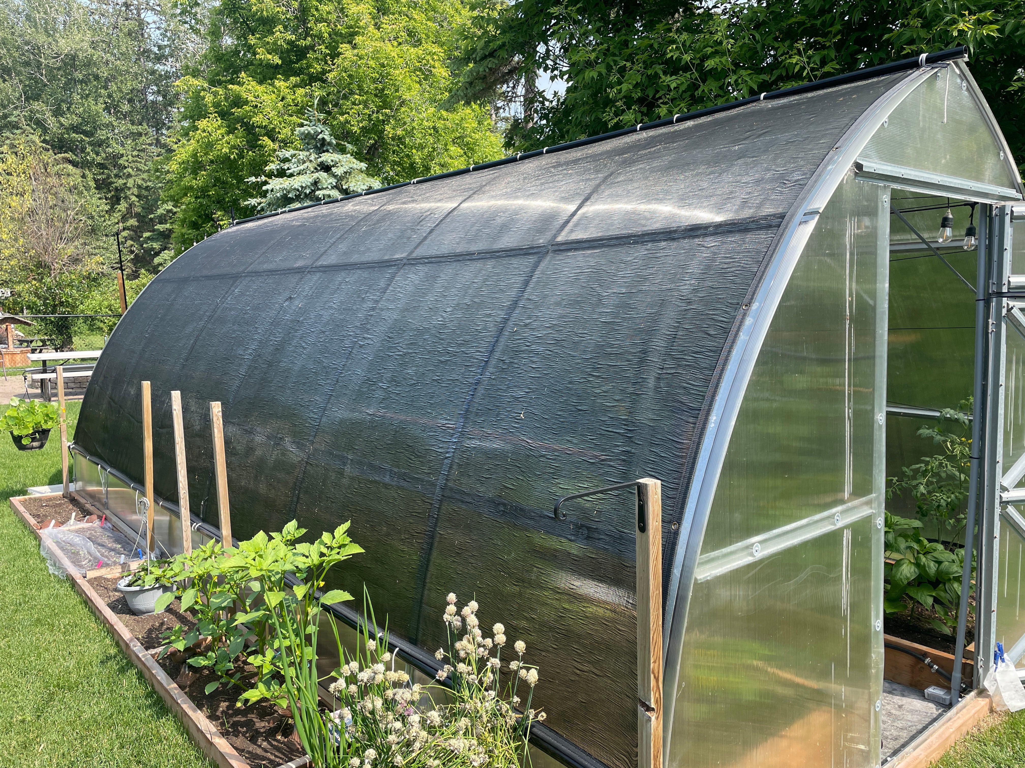 Sungrow 20 - Image 17