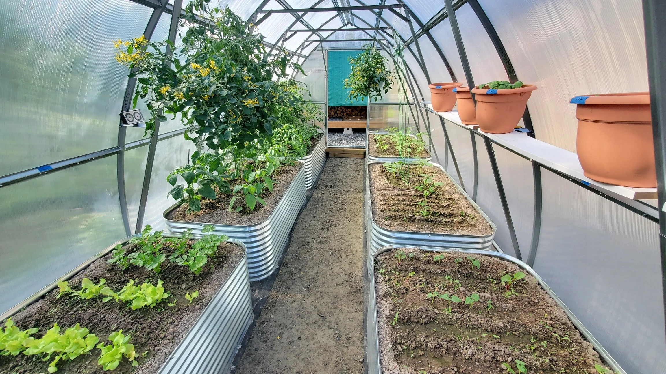 Sungrow 20 - Image 19
