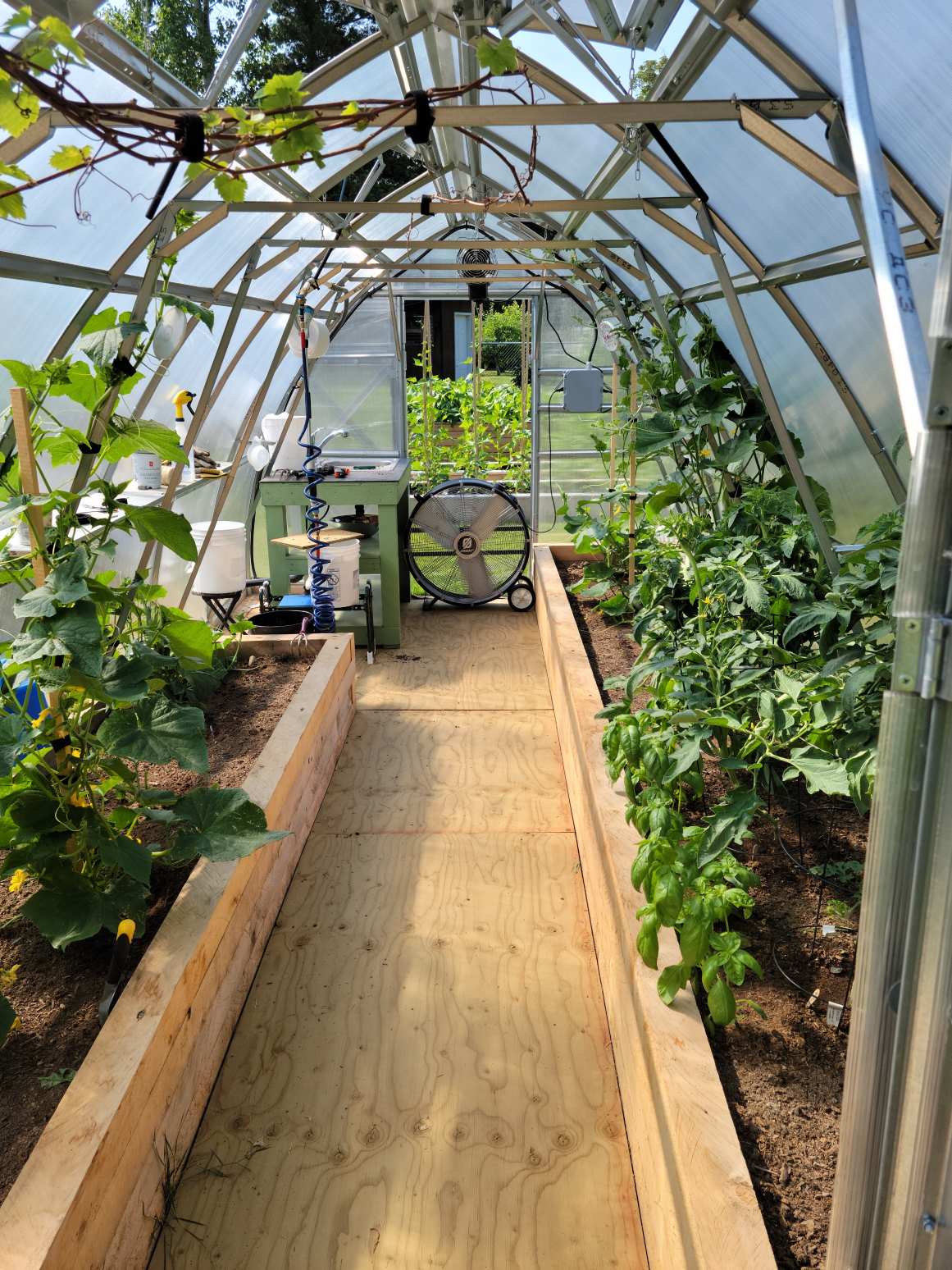 Sungrow 20 - Image 5